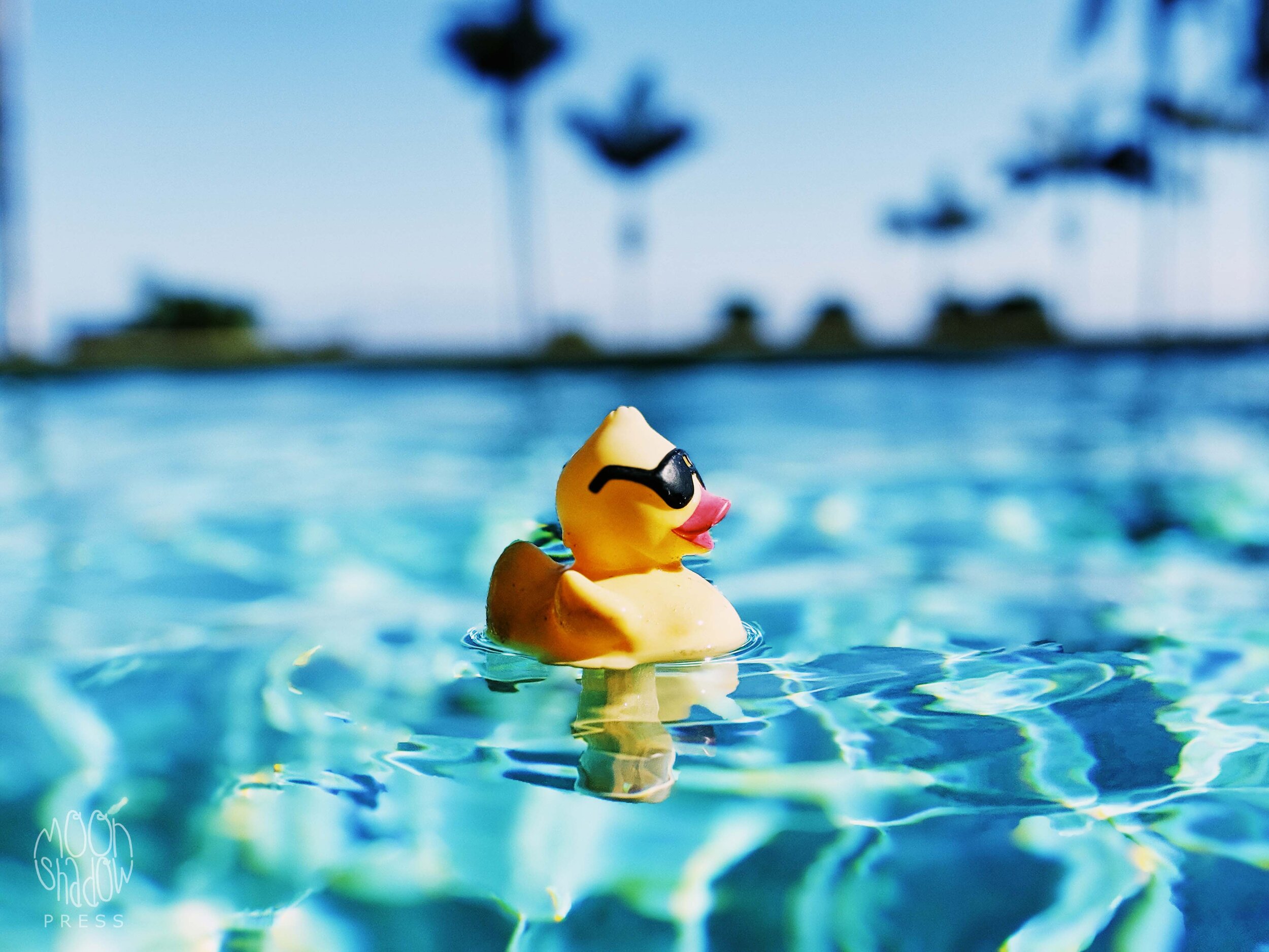 0A-HI-Pool21L.jpg