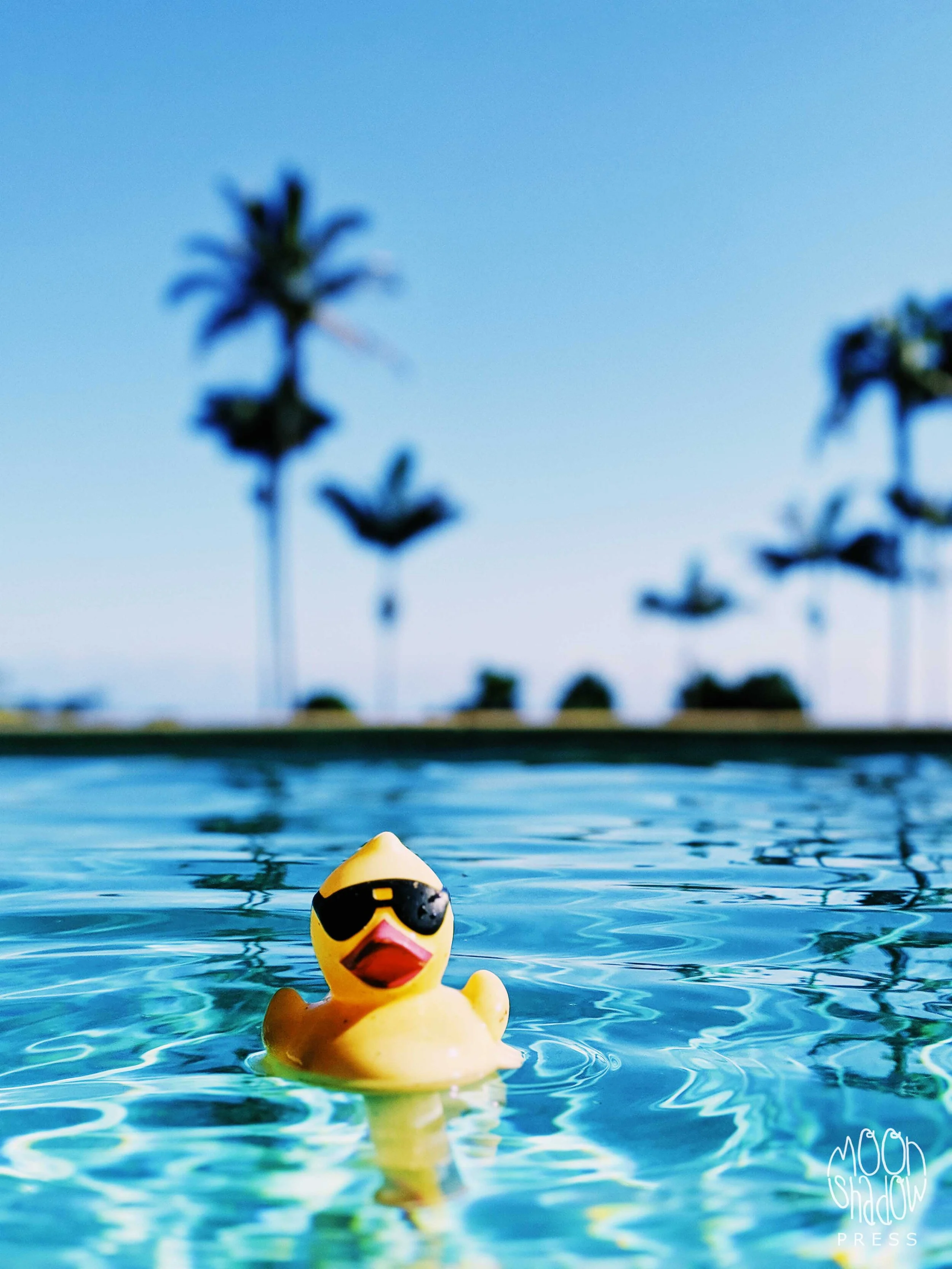 0A-HI-Pool5L.jpg