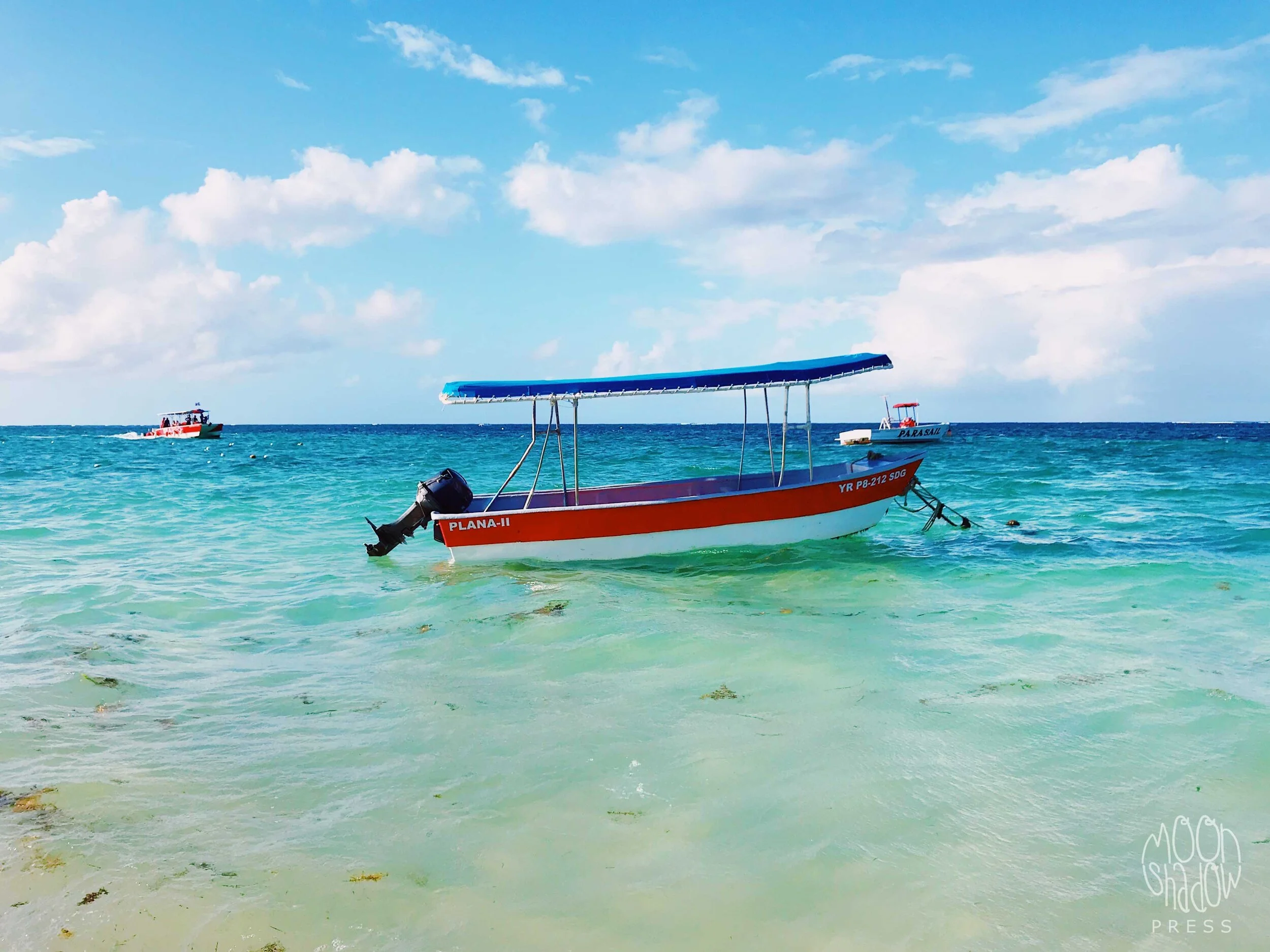 1DominicanR-1L.jpg