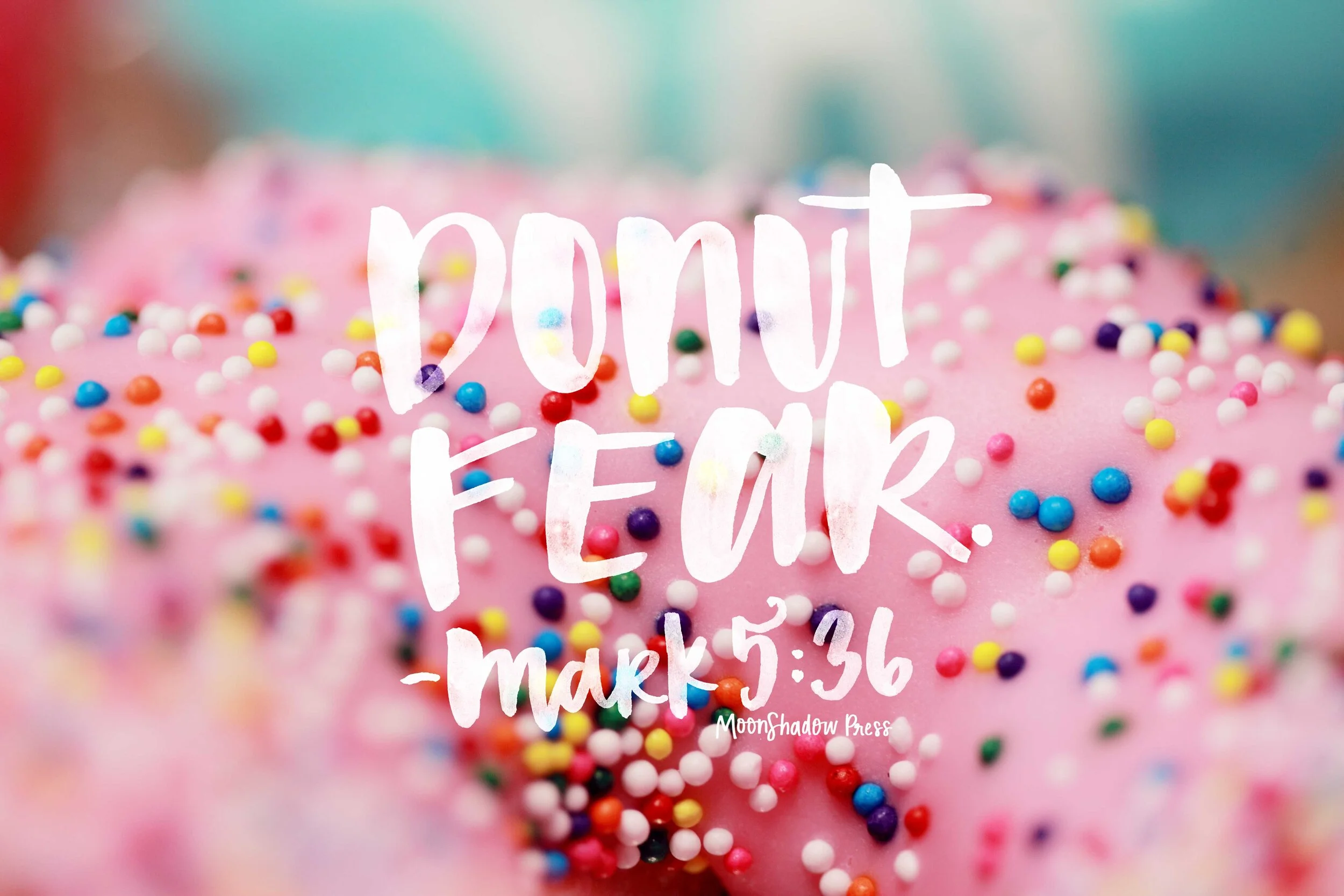 DonutFear2L.jpg