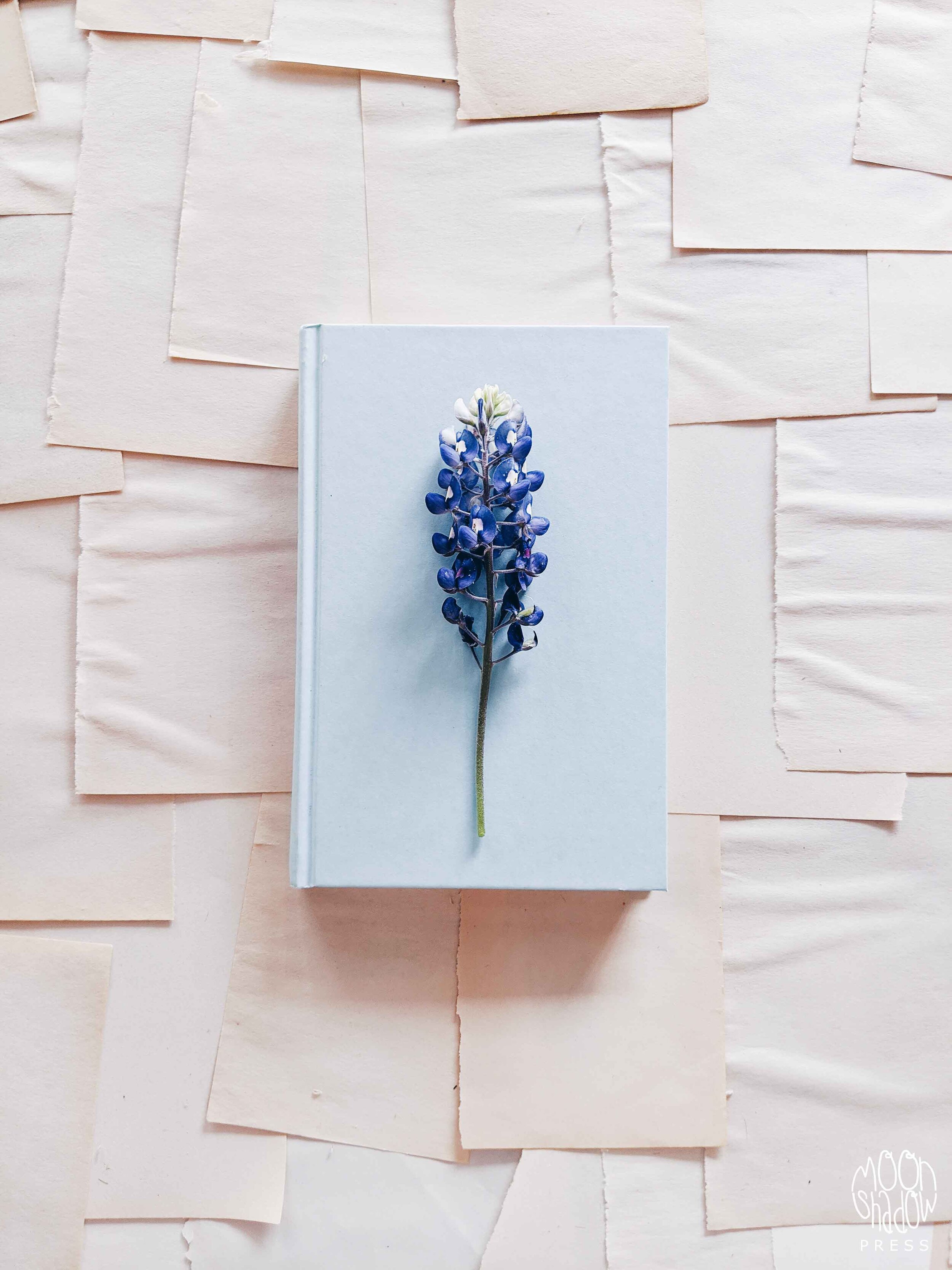 FL-Bluebonnets-33L.jpg