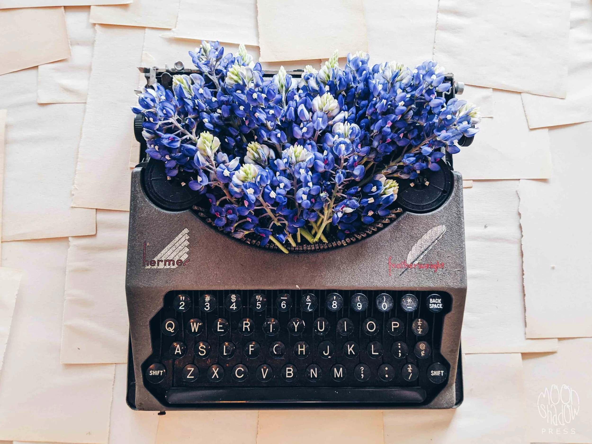 FL-Bluebonnets-4L.jpg