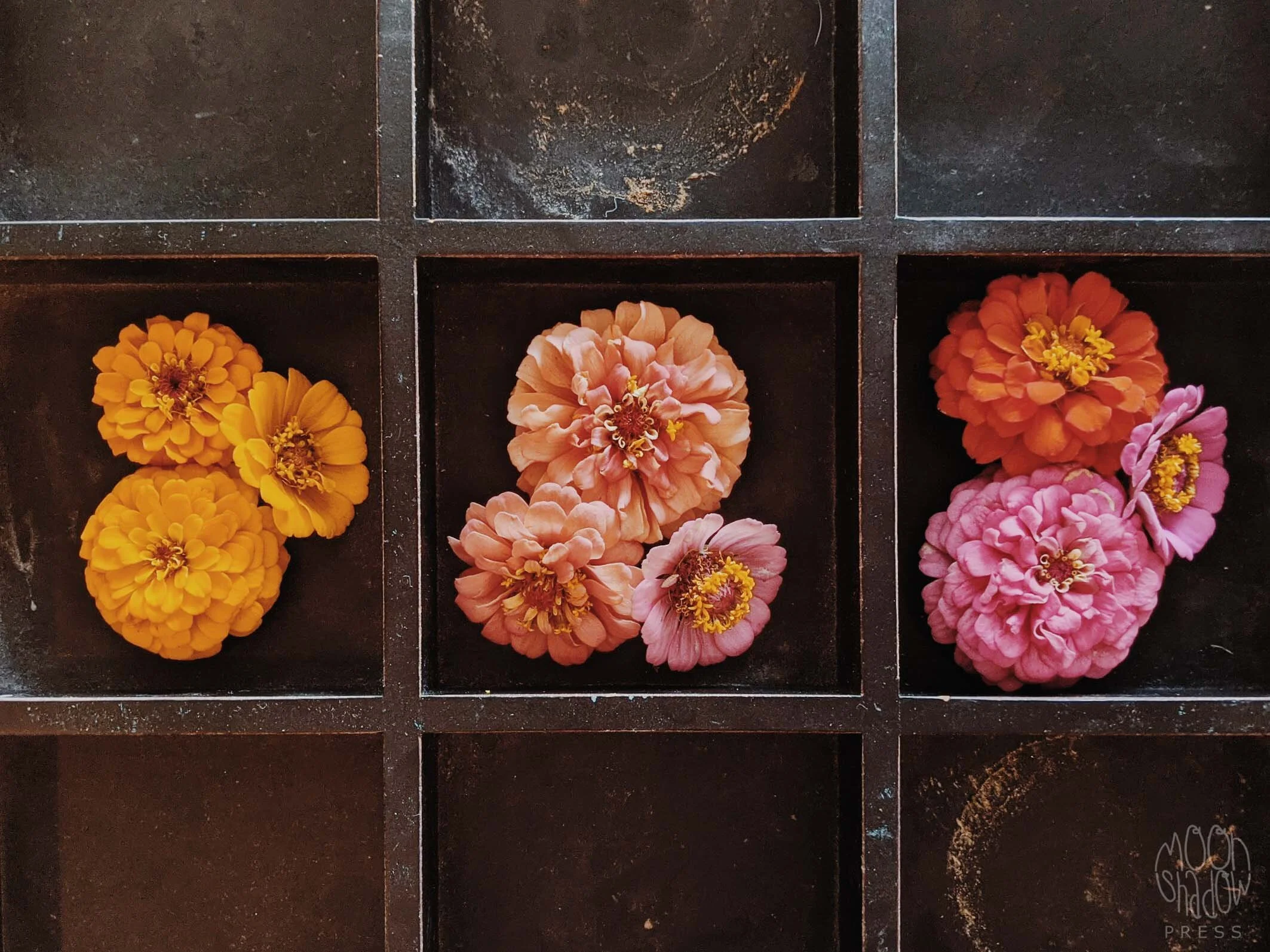 FL-GridFloral9L.jpg