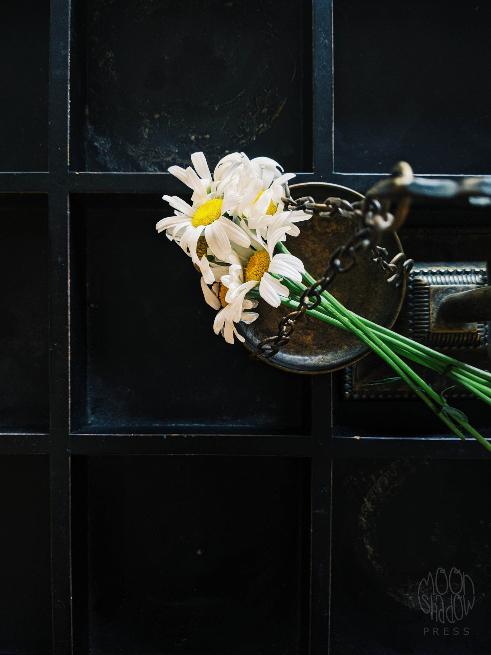 FL-FloralScale7L.jpg