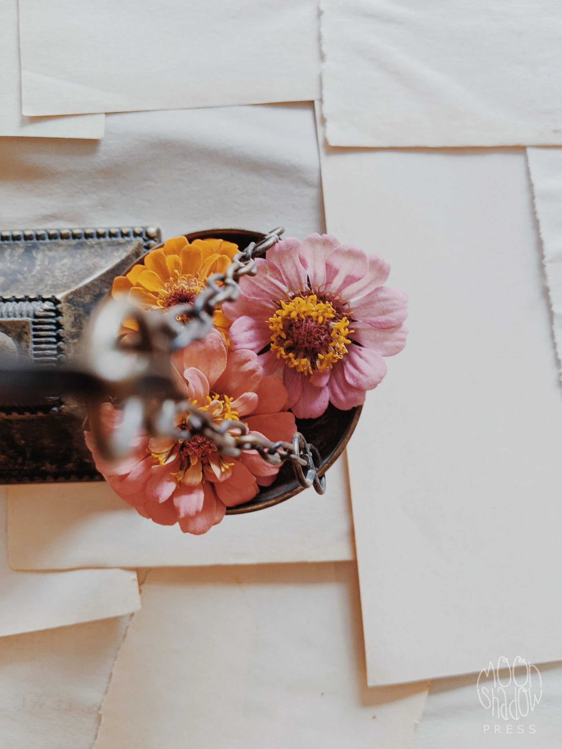 FL-FloralScale4L.jpg