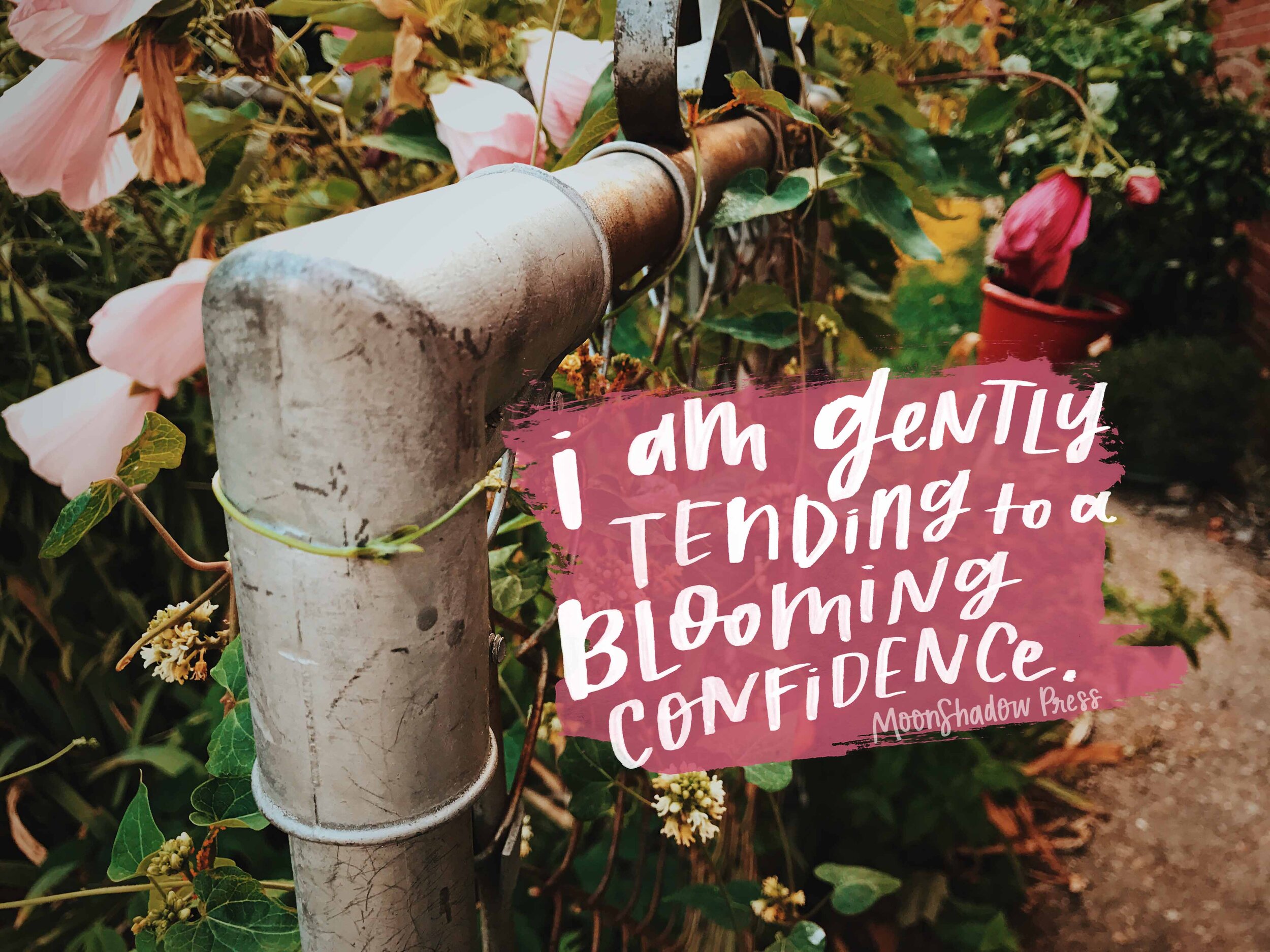 BloomingConfidence1L.jpg
