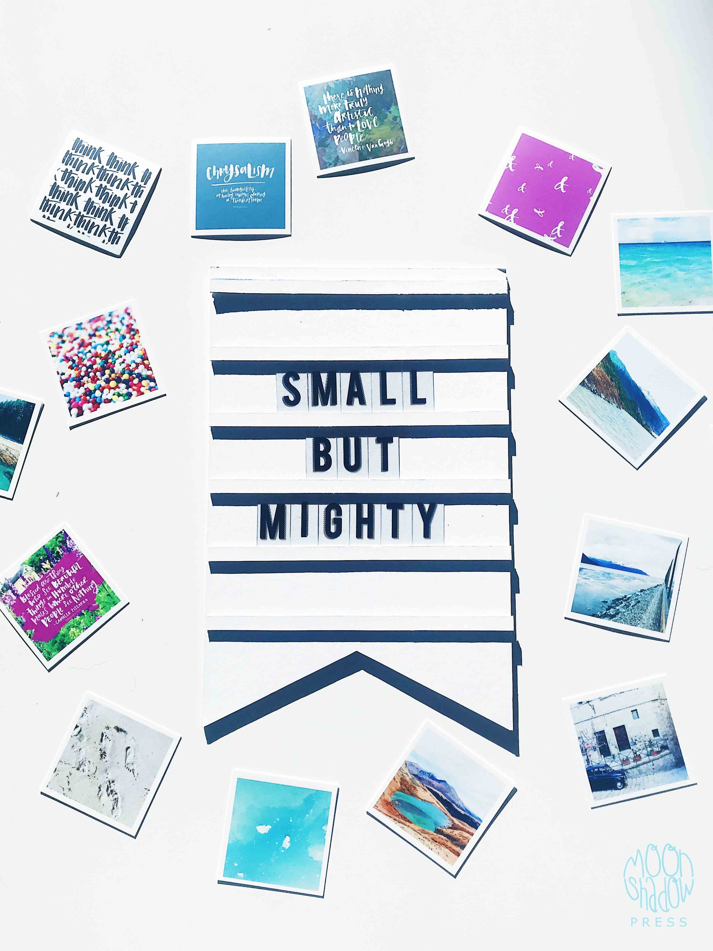 Minis-1L.jpg