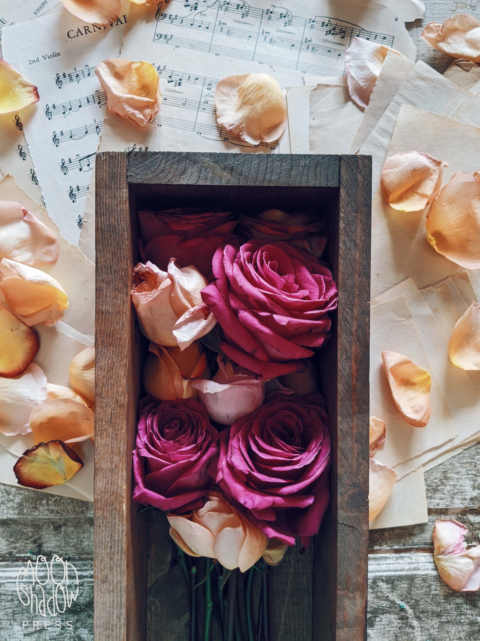 FL-RosesDoor-20L.jpg