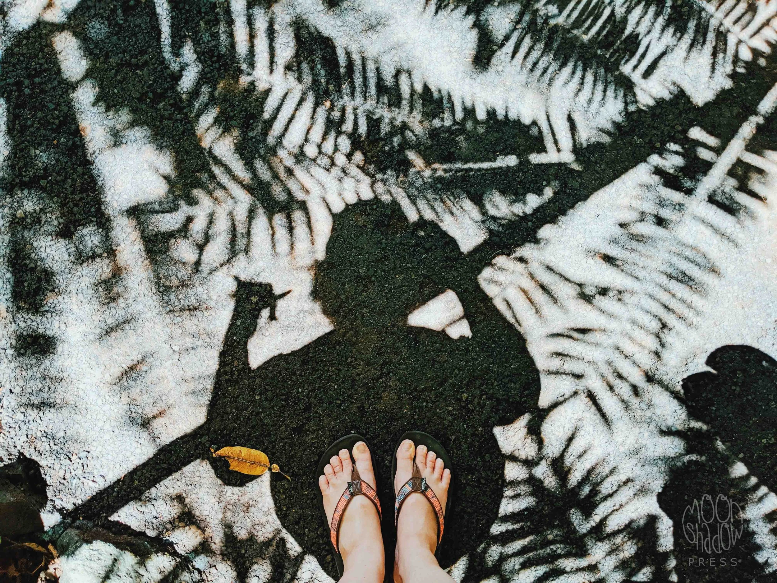 0A-HI-Shadow17L.jpg