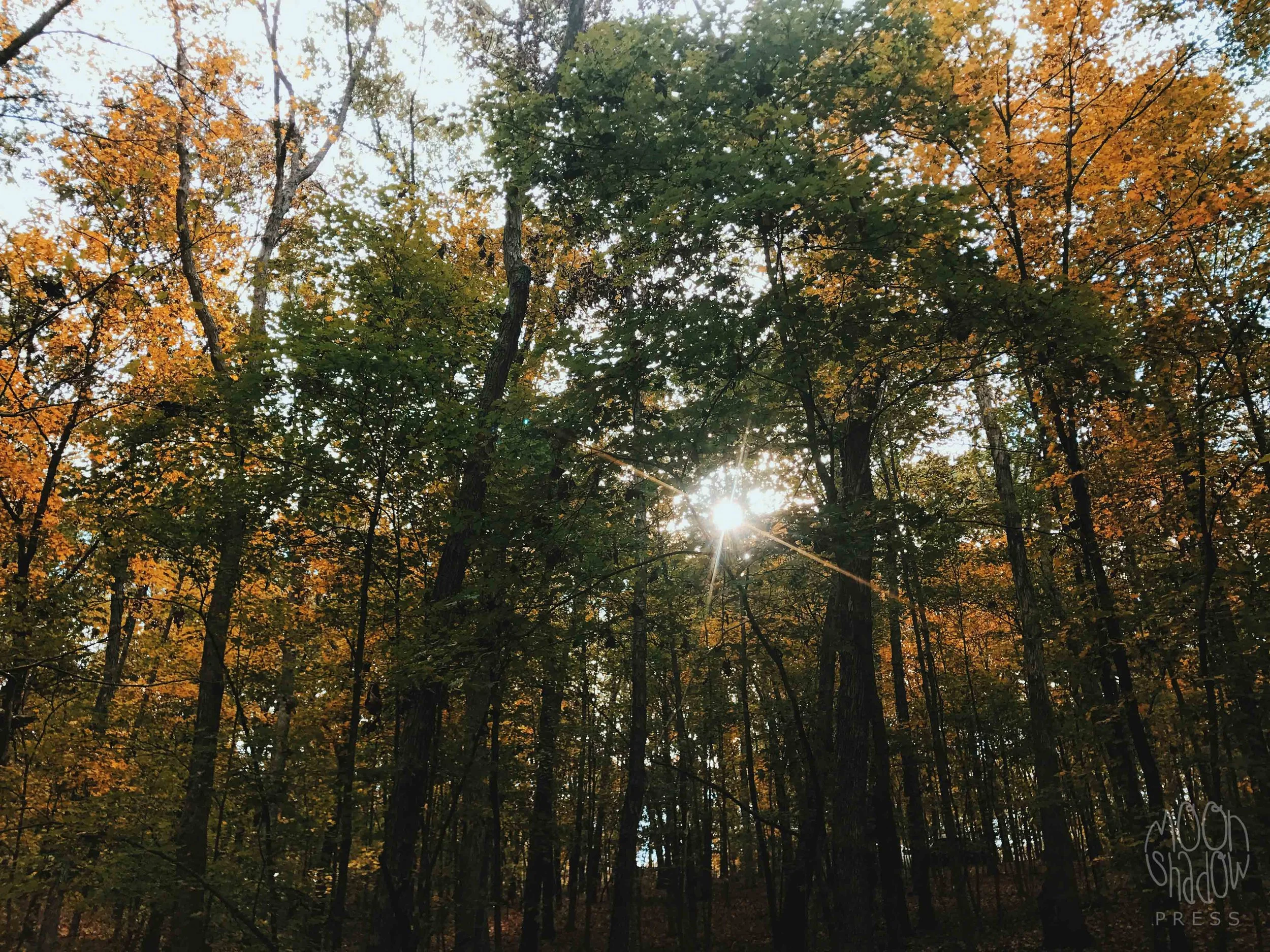 HikeOct-4.jpg