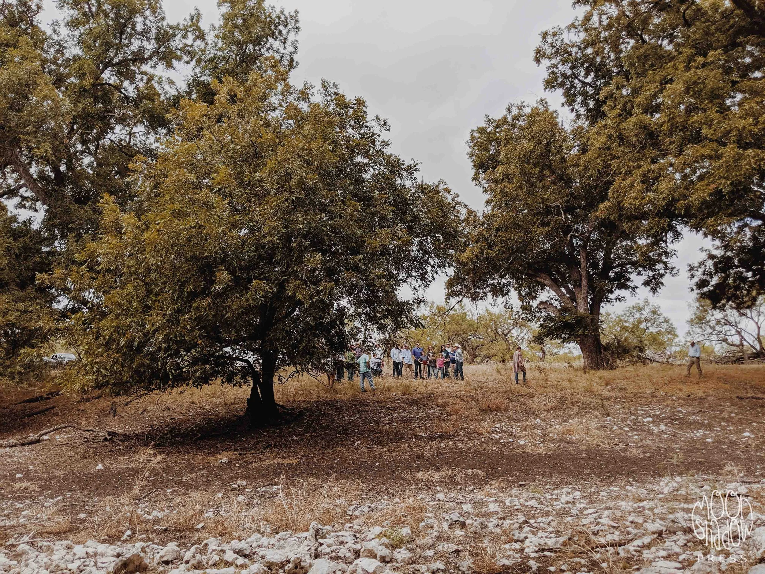 RossRanch54L.jpg