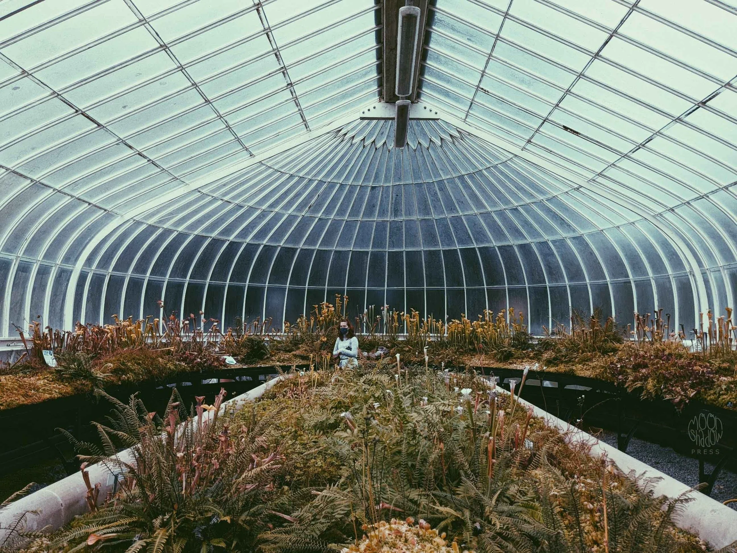 GBGarden-5.jpg