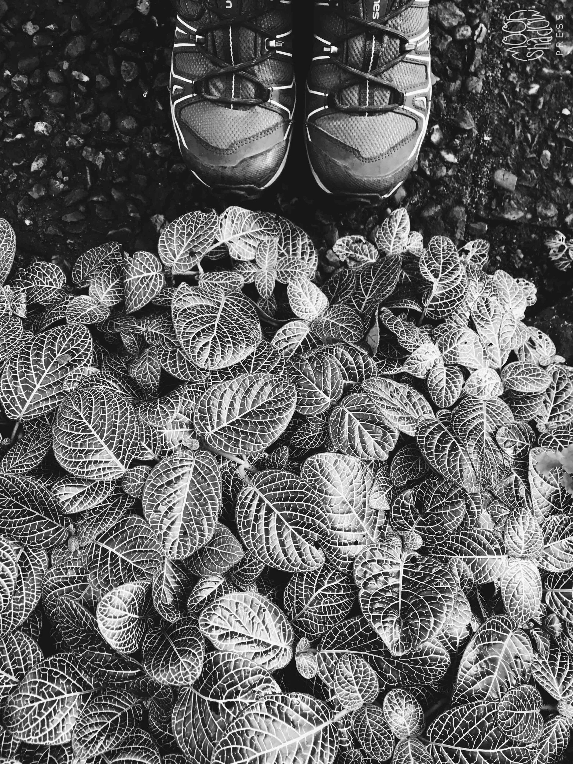 1_EdinFeet_3L.jpg