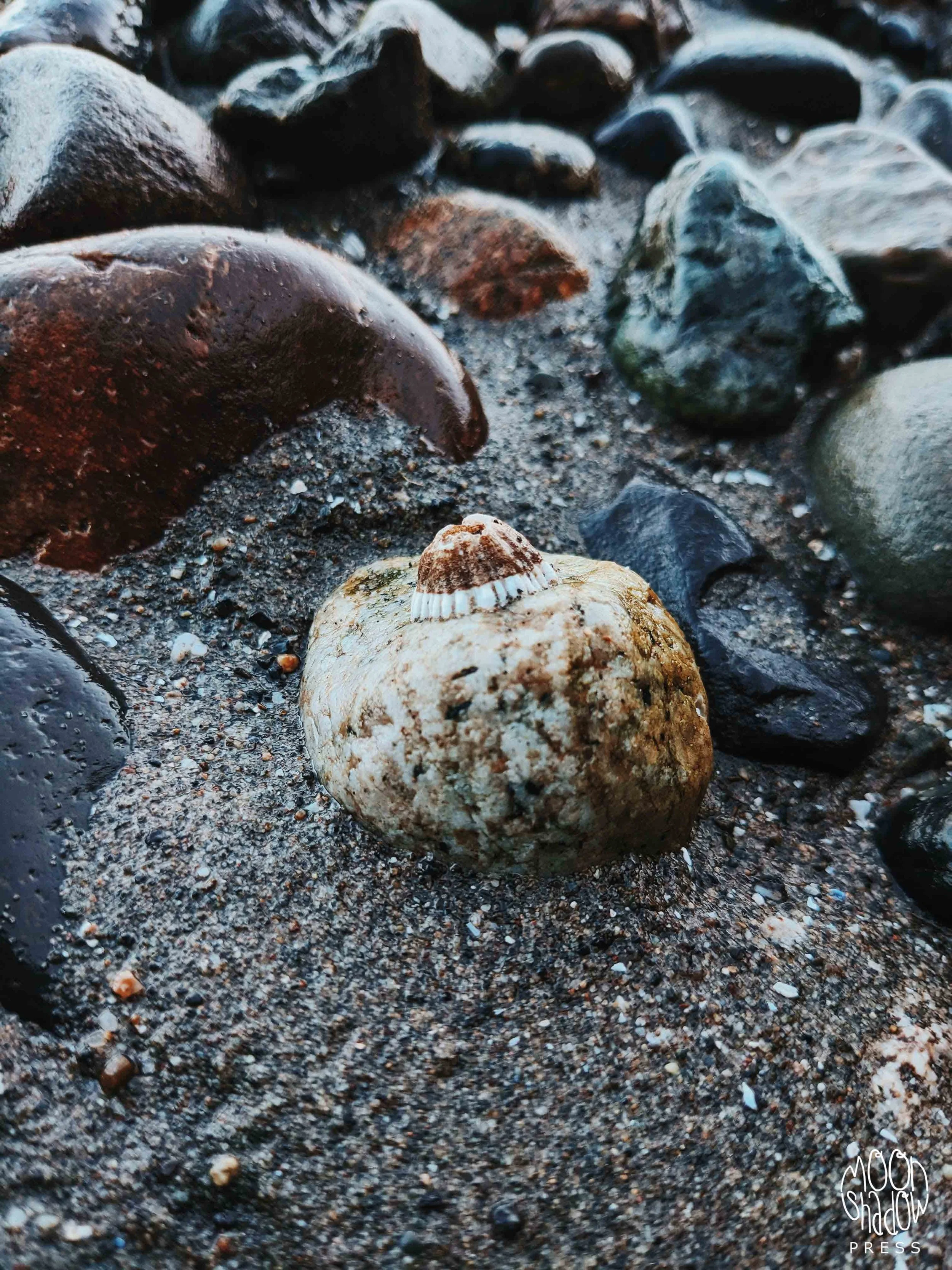WA-GigBeach-21L.jpg