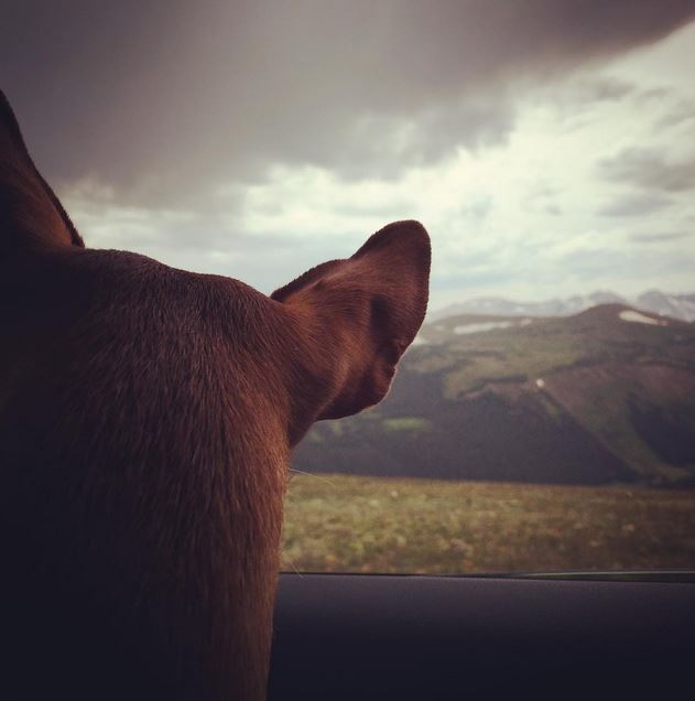 #ZivatheMinPin looking upon the mountains this weekend