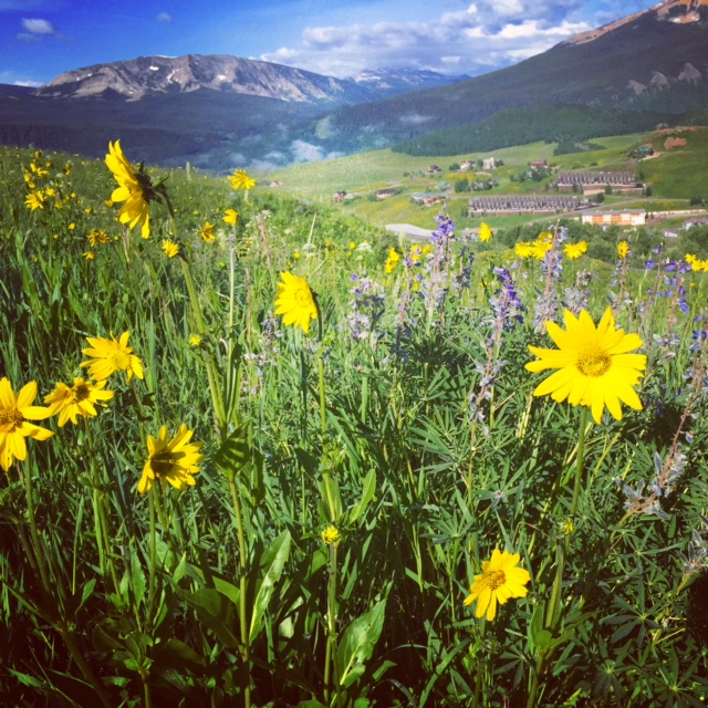 @adidavey on Instagram