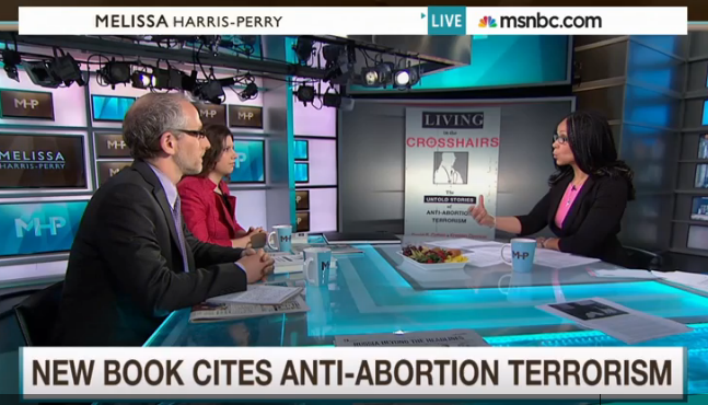  MSNBC The Melissa Harris-Perry Show (May 9, 2015) - click to play 
