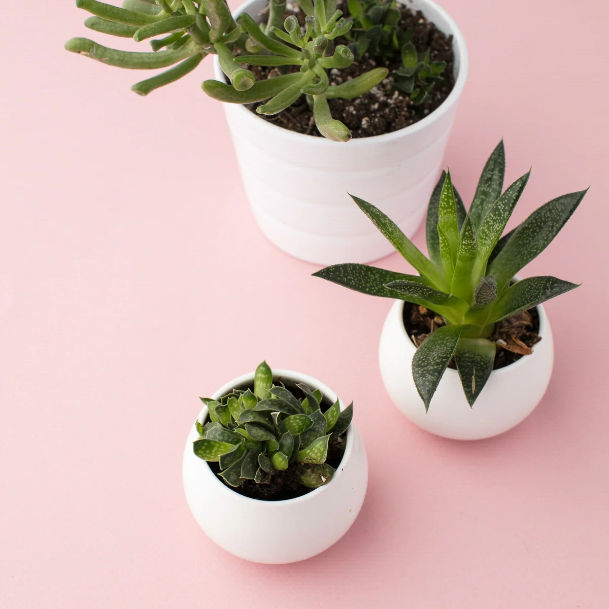 How to Surround Yourself with Beauty for a More Inspiring Life