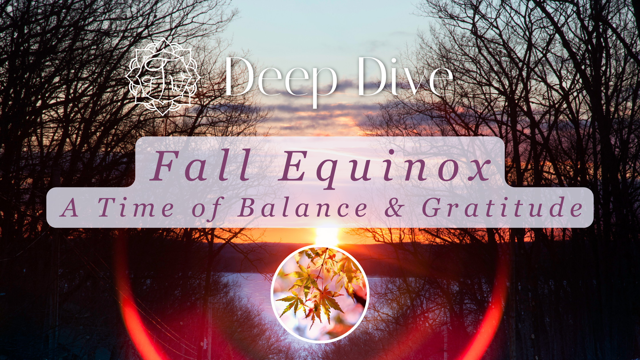 Fall Equinox: A Time of Balance &amp; Gratitude