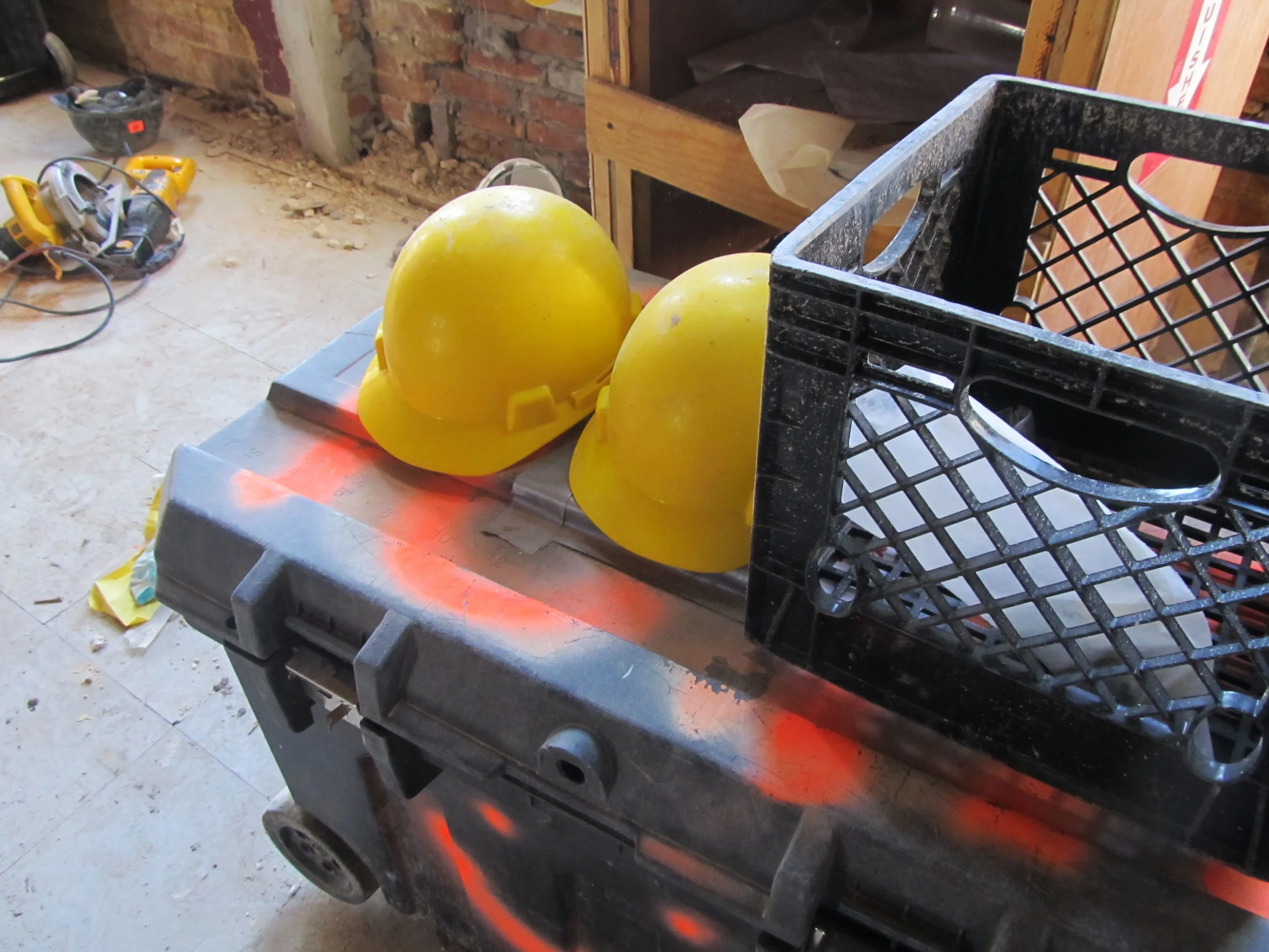 Week7Habitat.jpg (23).JPG