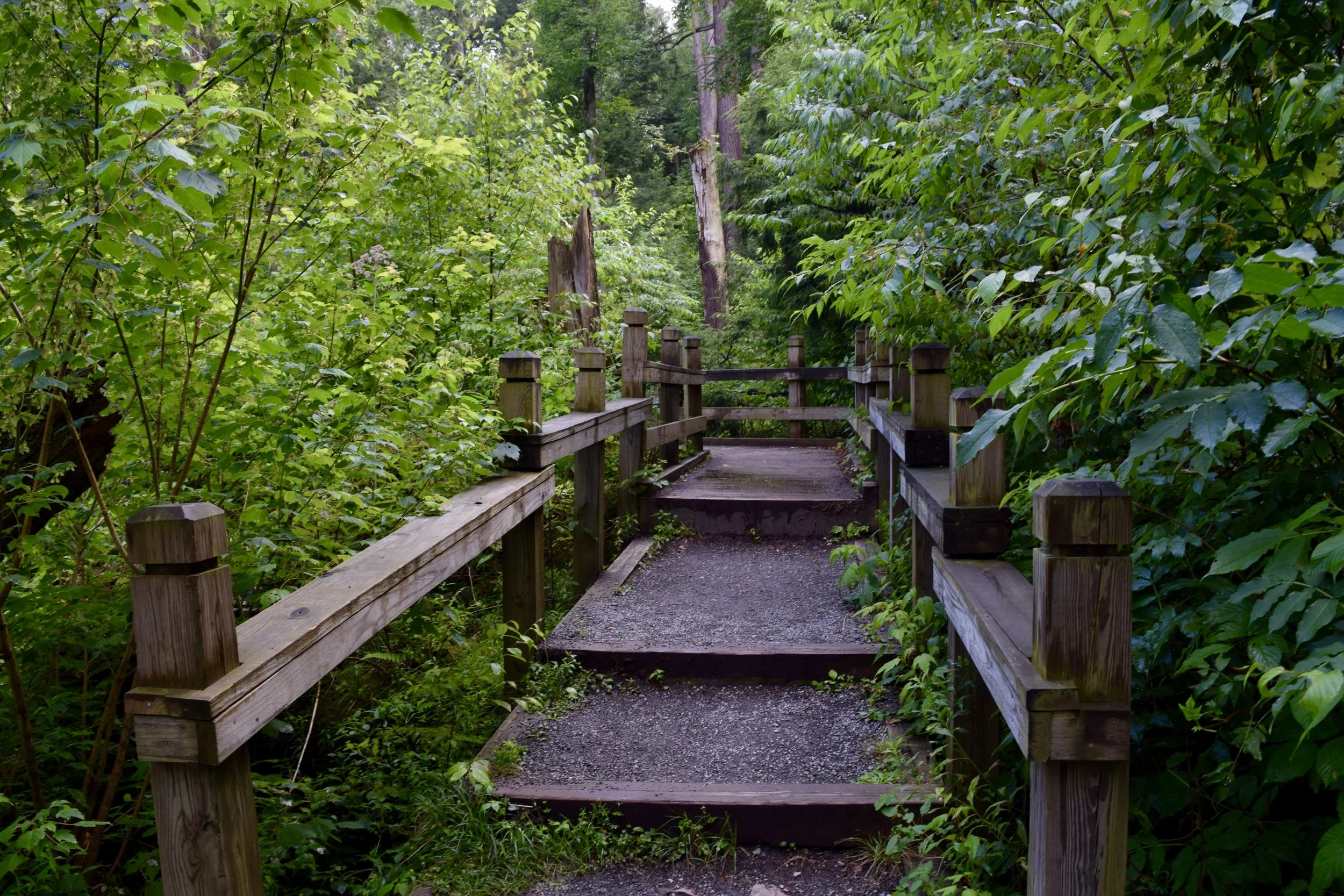 DSC_0001.jpg
