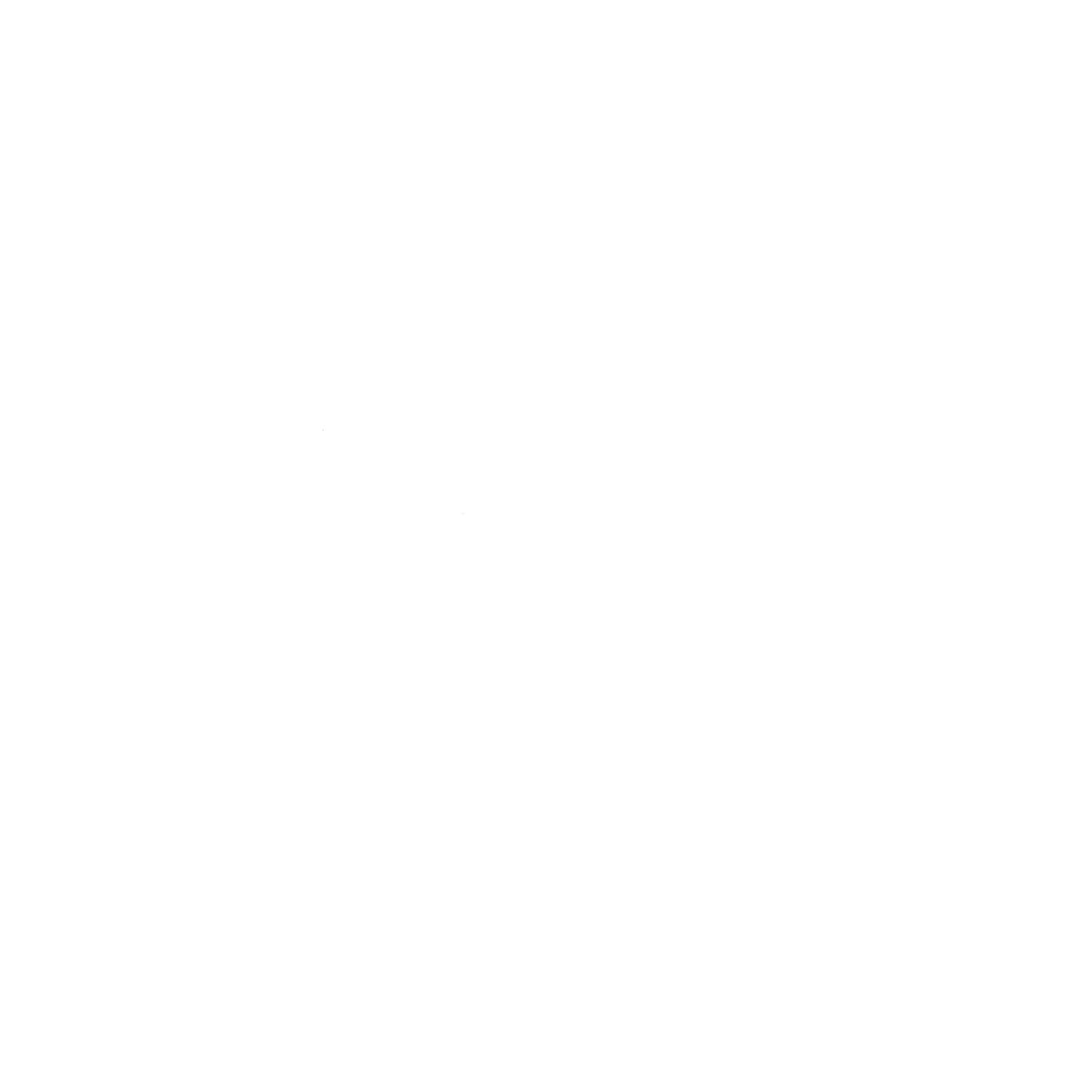 Connie Chen Master Penman 