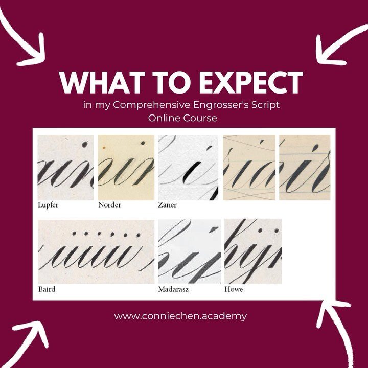 What to Expect in the single letter section of my Comprehensive Engrosser&rsquo;s Script Online Course
&bull;
You will see 8-10 exemplars of each letter just like this.

We will examine each meticulously, compare &amp; consider:

What bone structure 