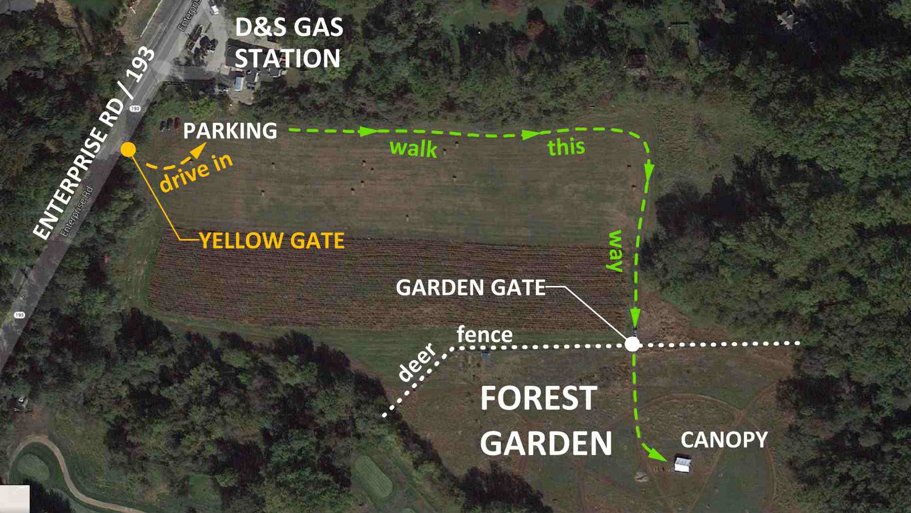 FINDING YOUR WAY INTO THE FOREST GARDEN