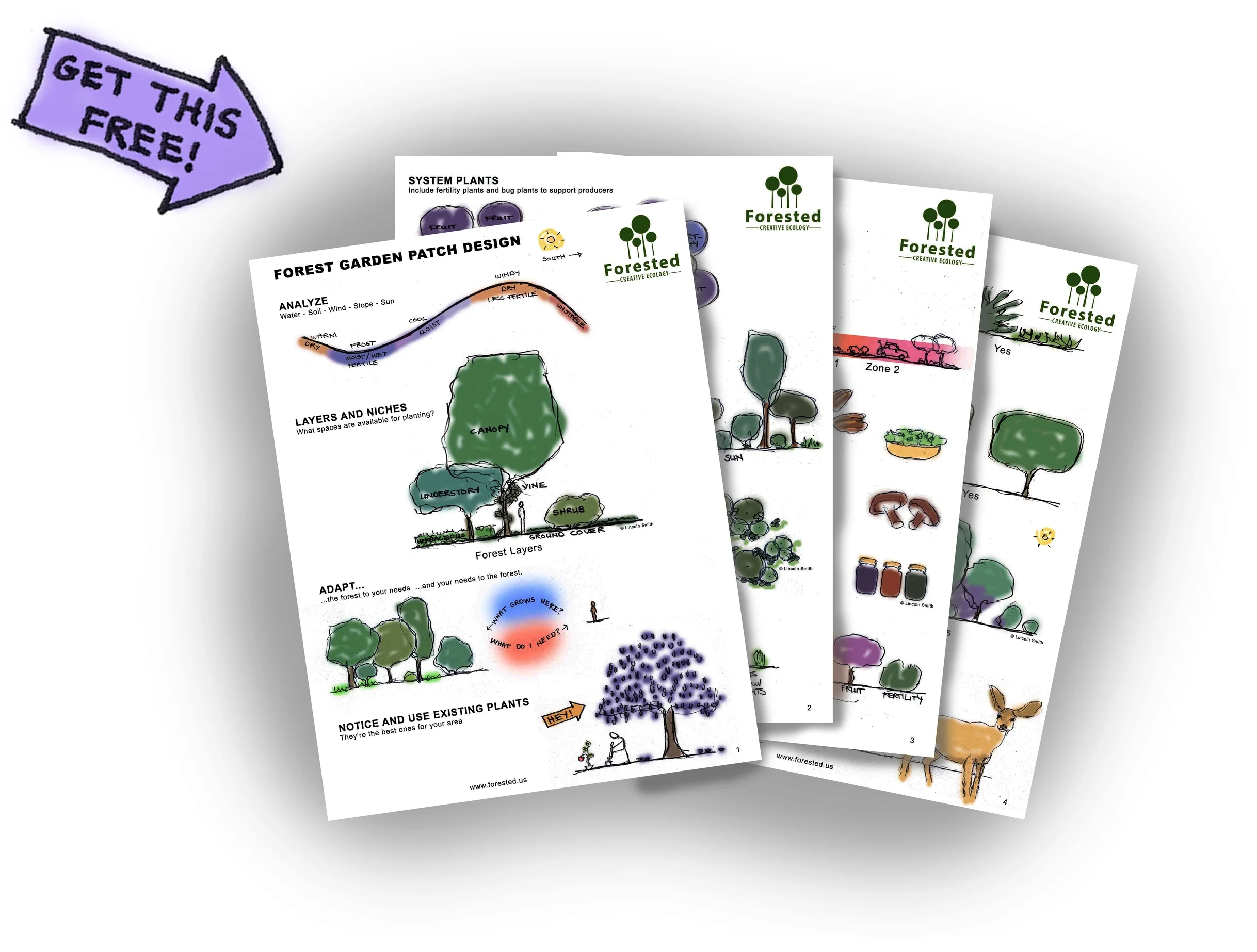 Forest garden design guide