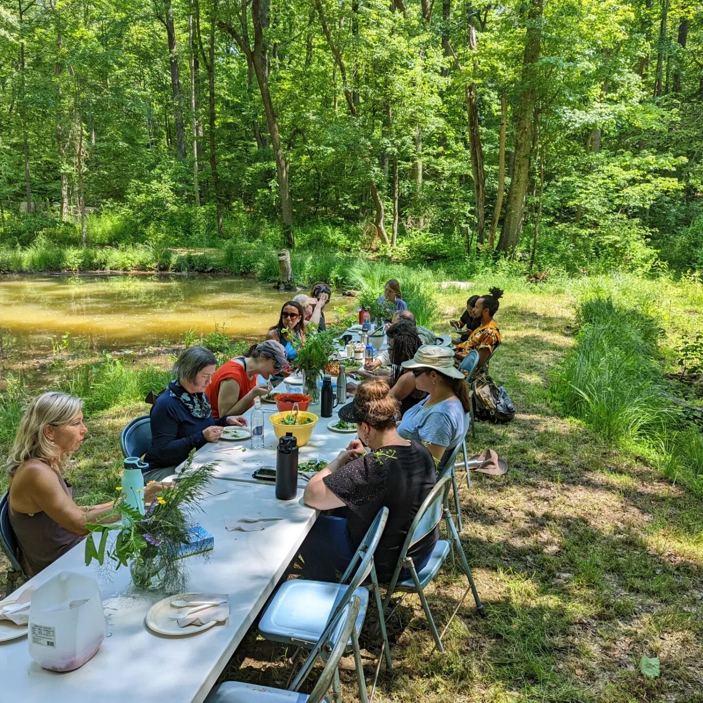 Finished up our spring permaculture design course with a forest garden brunch. The weather was blazing hot on Sunday but the pond and the trees made a comfortable spot for us, and the fish ate (almost) all the mosquitoes.