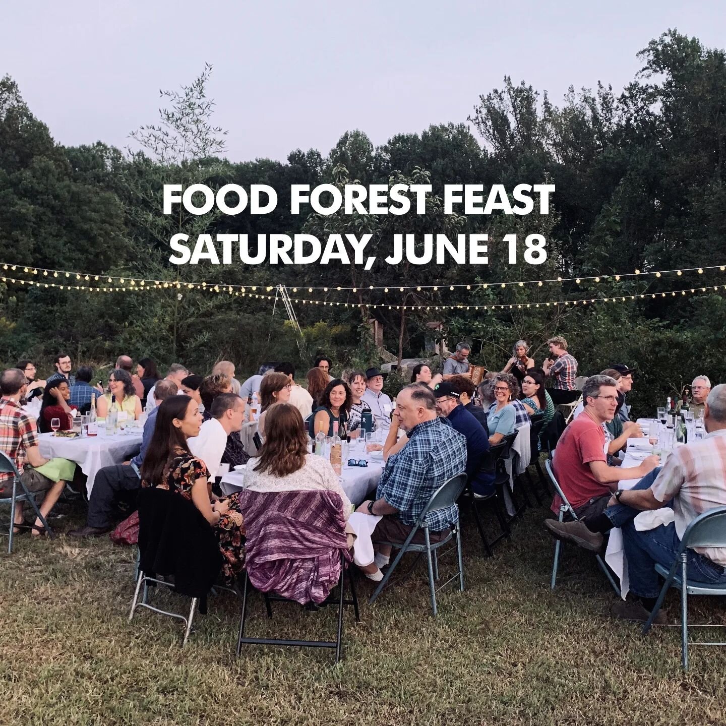 Try some foods you might have never had before, with music and good company in a thriving food forest!