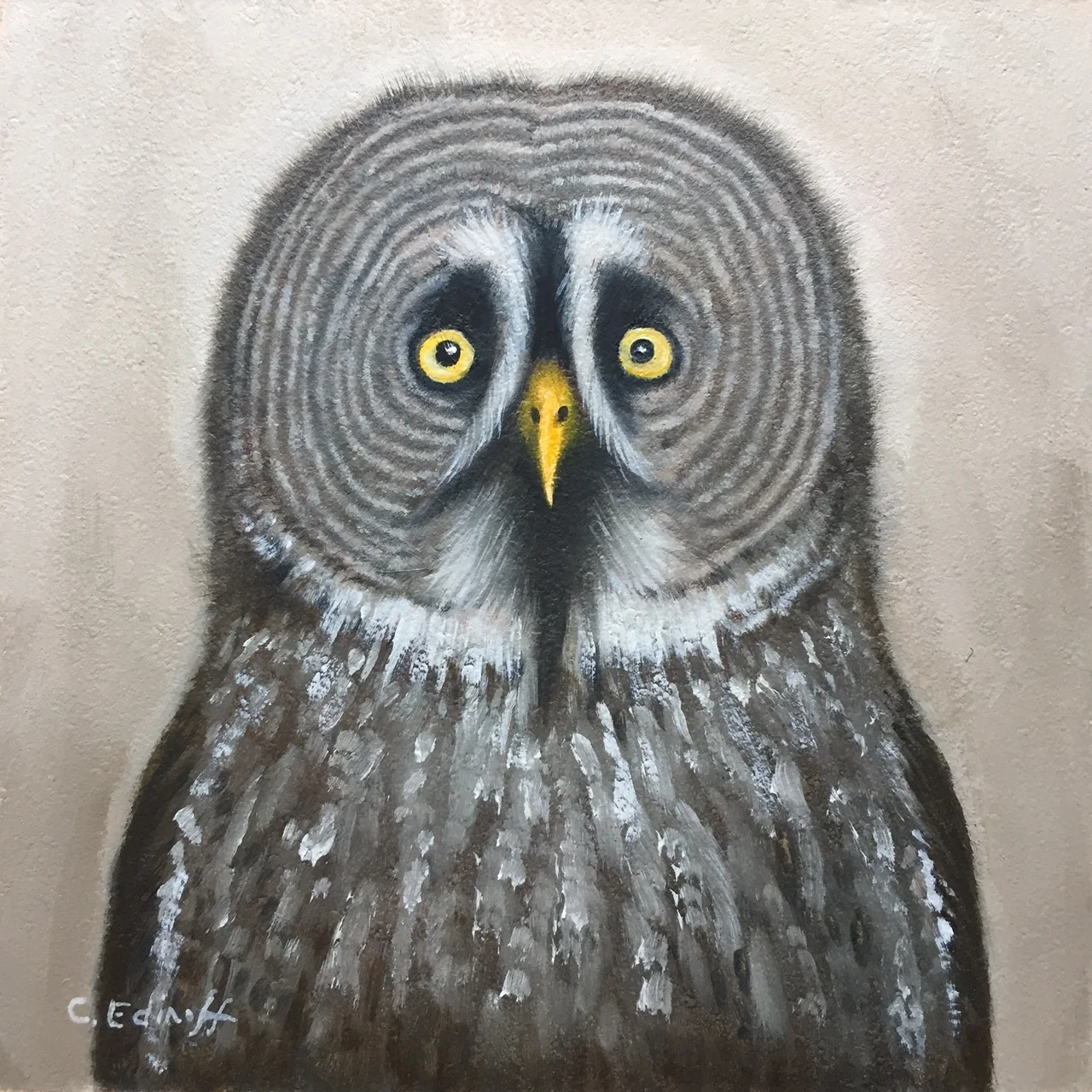 Great grey owl painting by Cat Edinoff