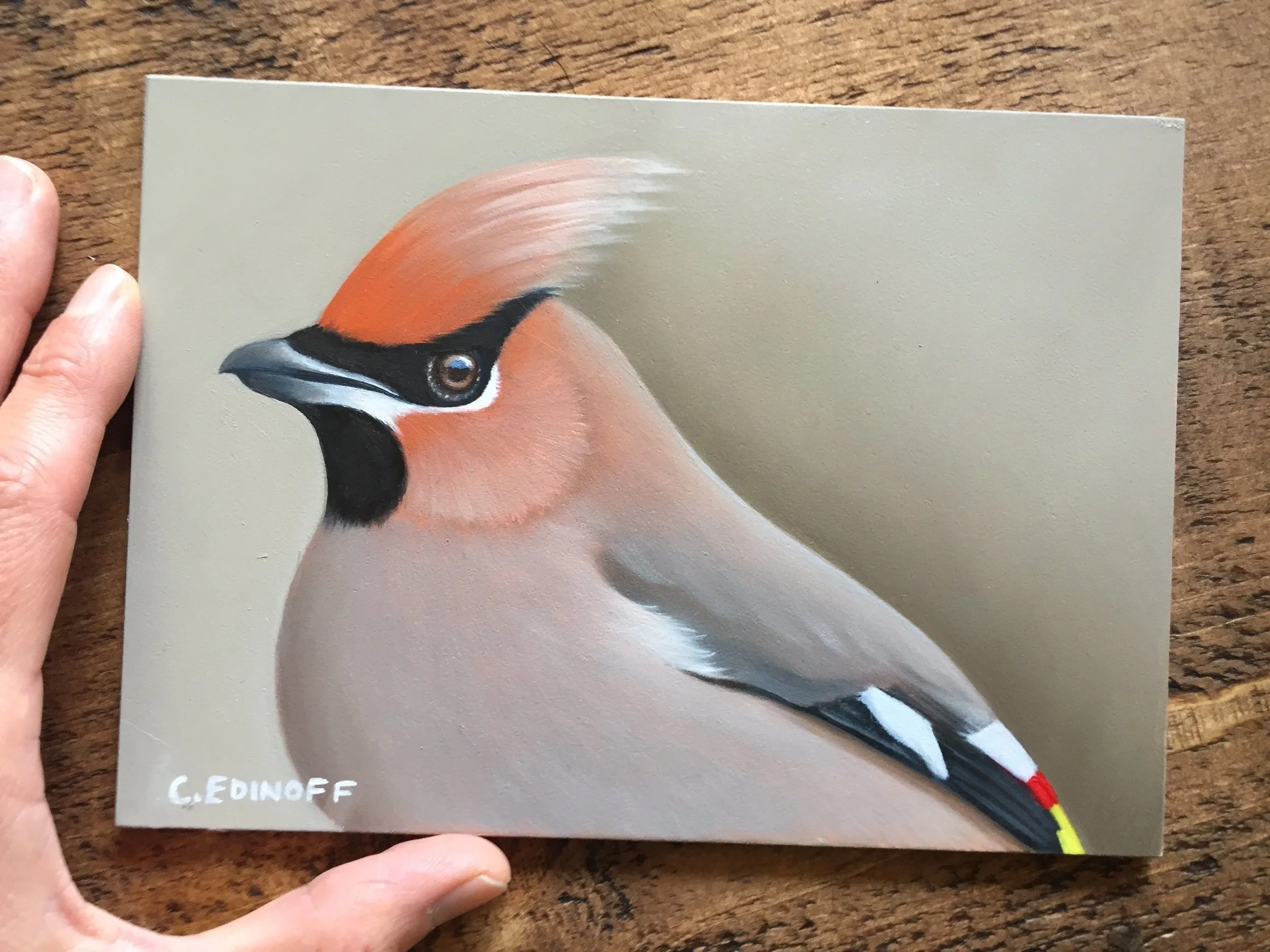 Waxwing bird painting by Cat Edinoff