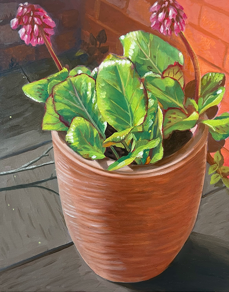 original plant painting by Cat Edinoff