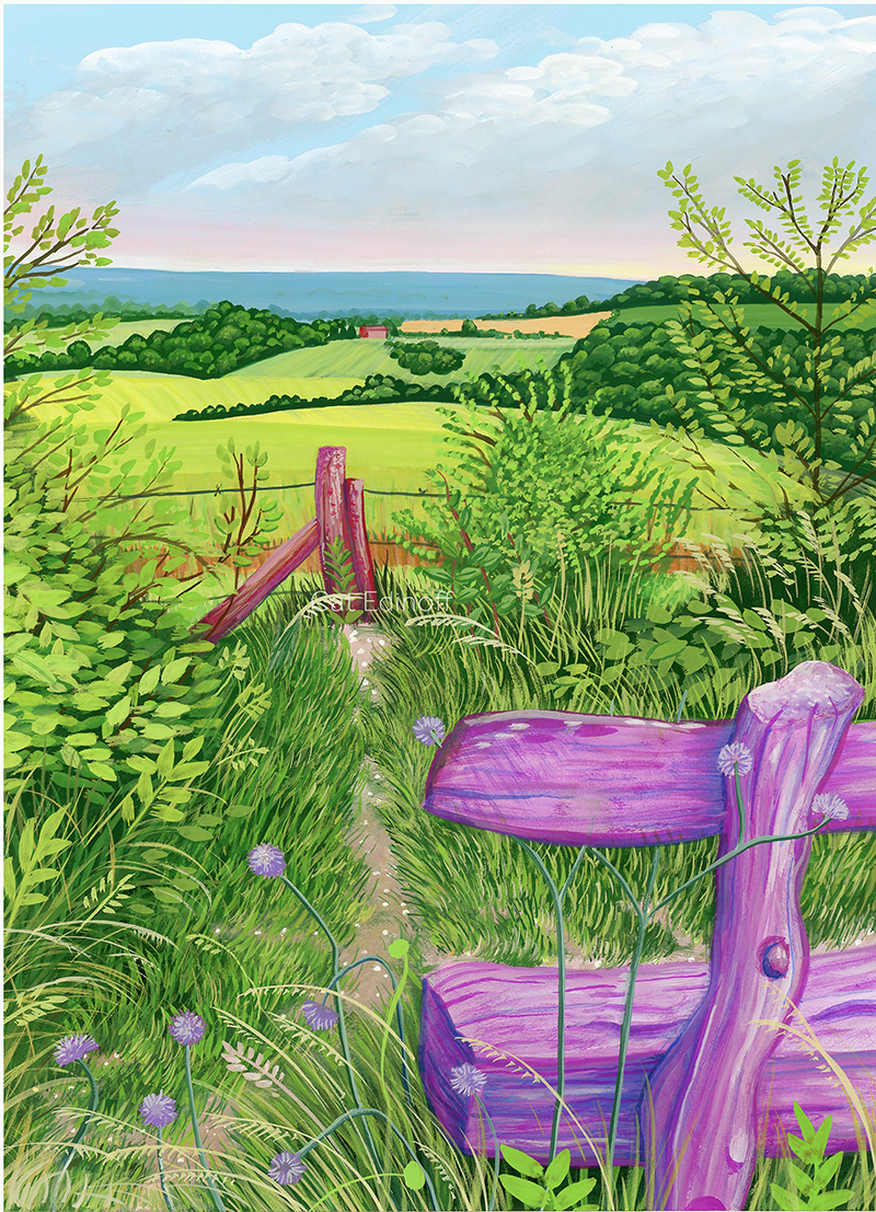 Viewpoint from The Monument at Farley Mount Winchester by Cat Edinoff