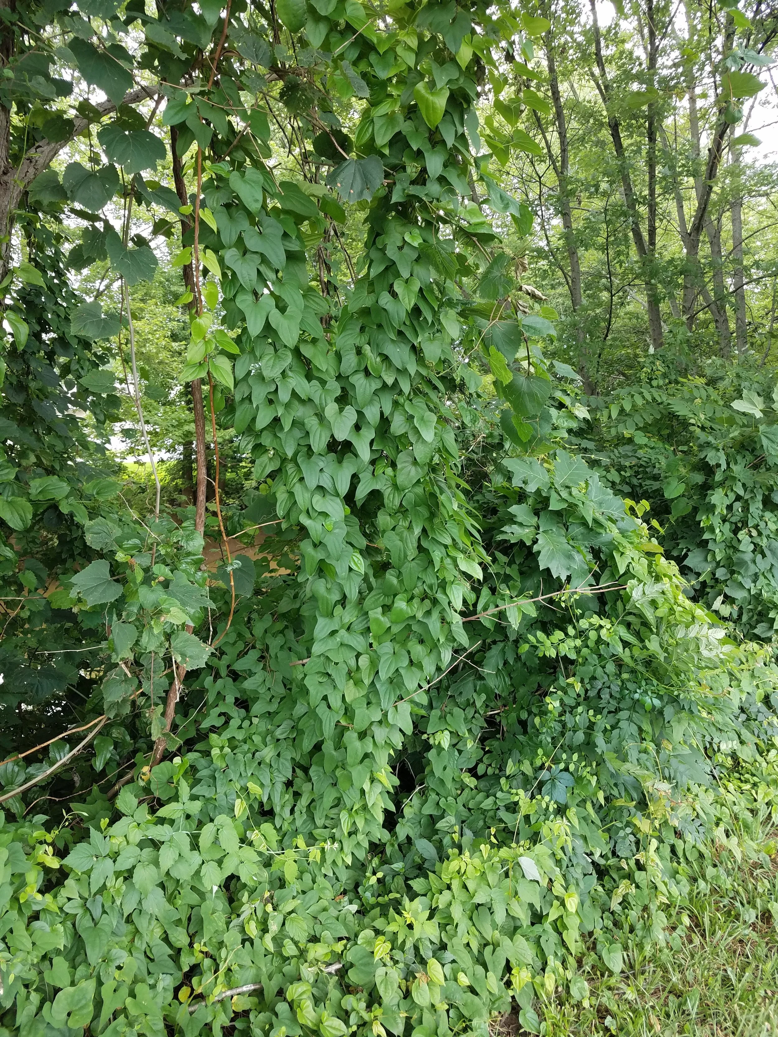 Photo by Emily Finch; Dubois County