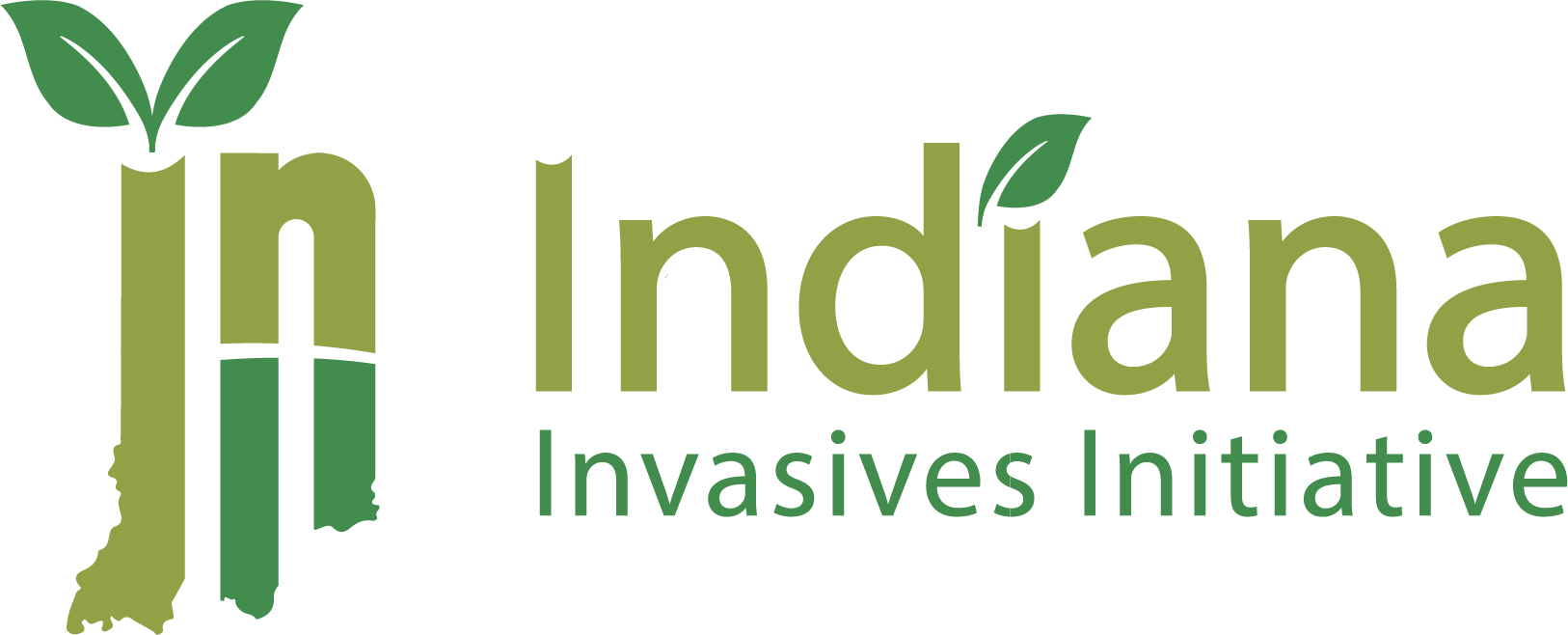 III Logo 4c@3x.png