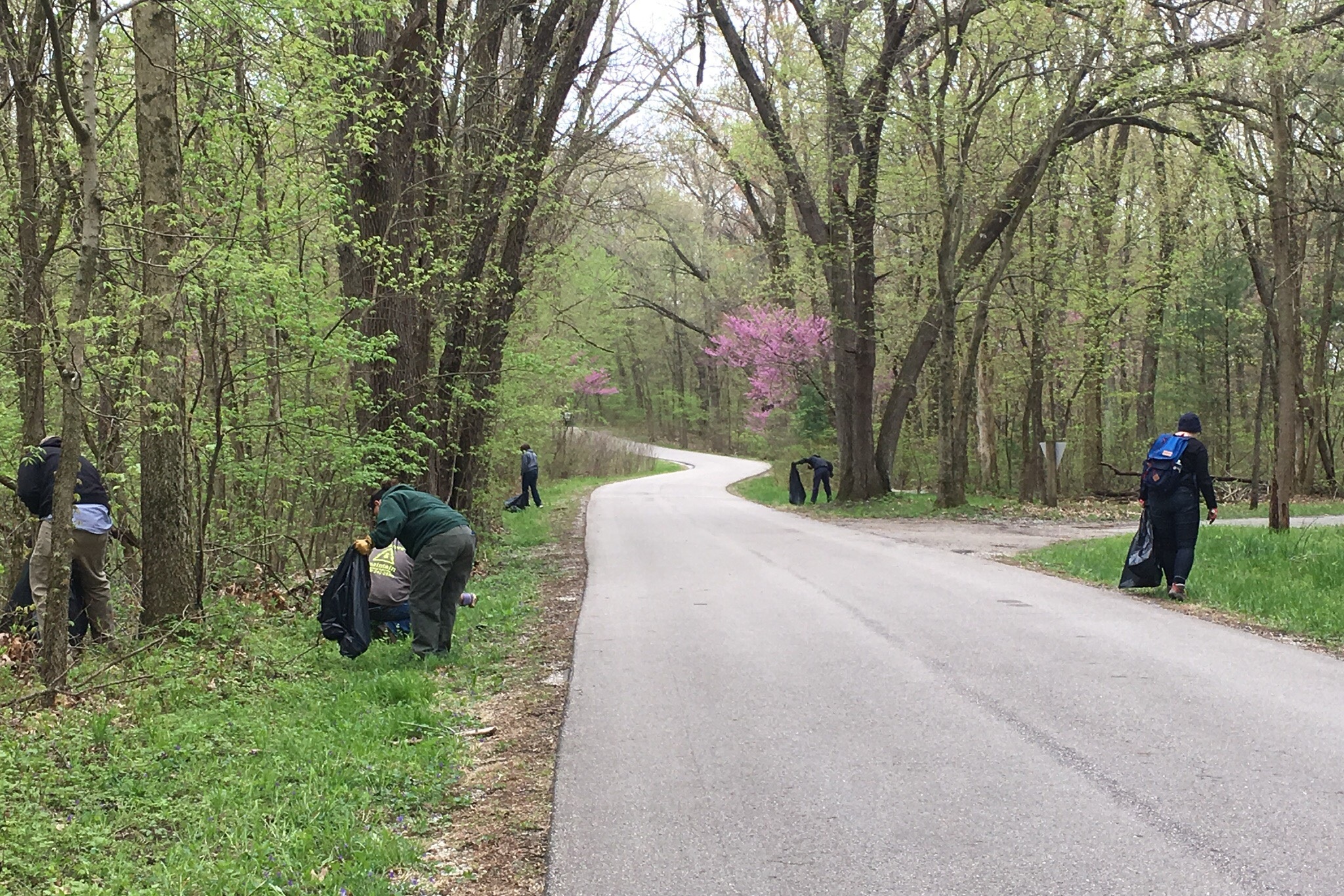 WeedWrangleTippecanoeRiverSP2019(2) (002).jpeg