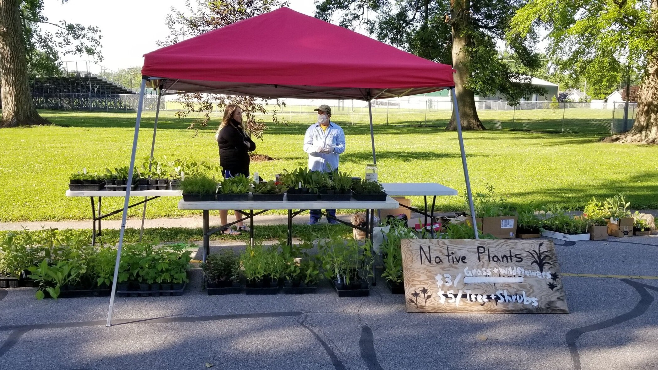 Knox County CISMA native plant sale booth