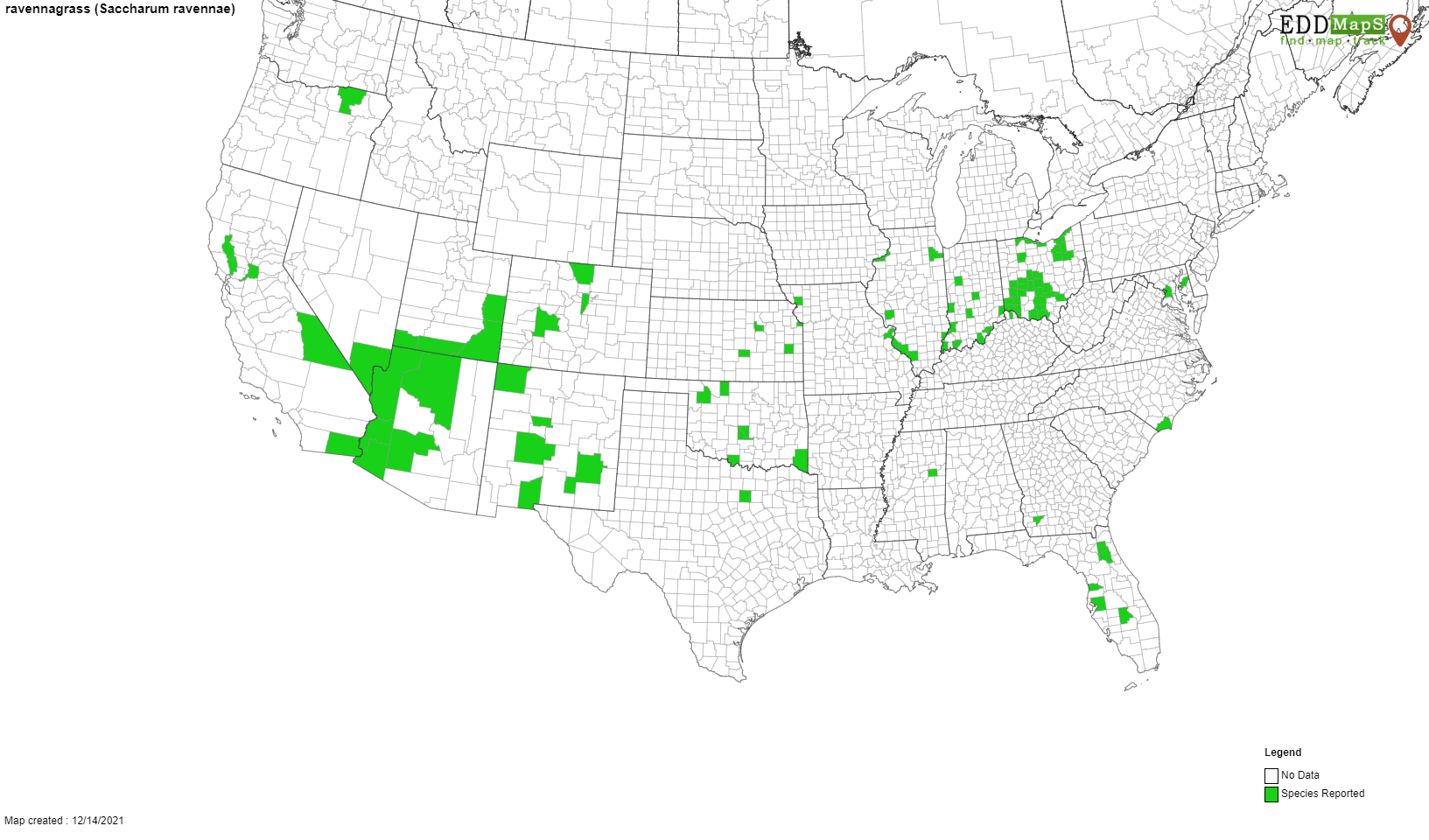 Ravenna Grass distribution map