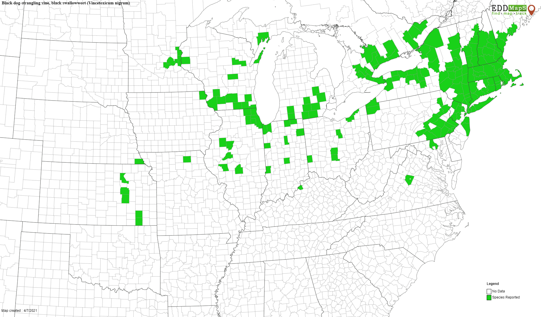 Black Swallow-wort Distribution Map