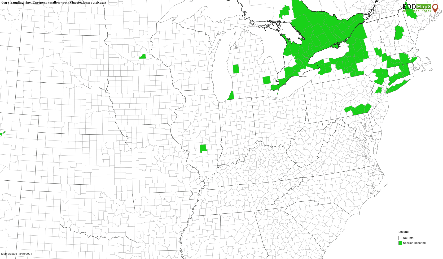 Pale Swallow-wort Distribution Map