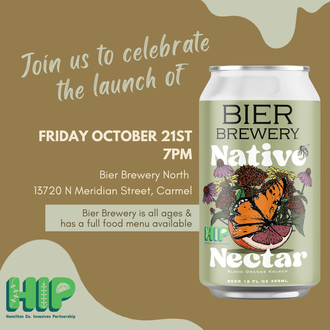 HIP Beer Launch invitestd.png