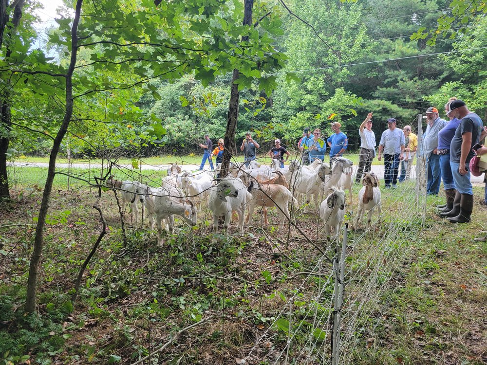 goats_Dubois training 2022.jpg