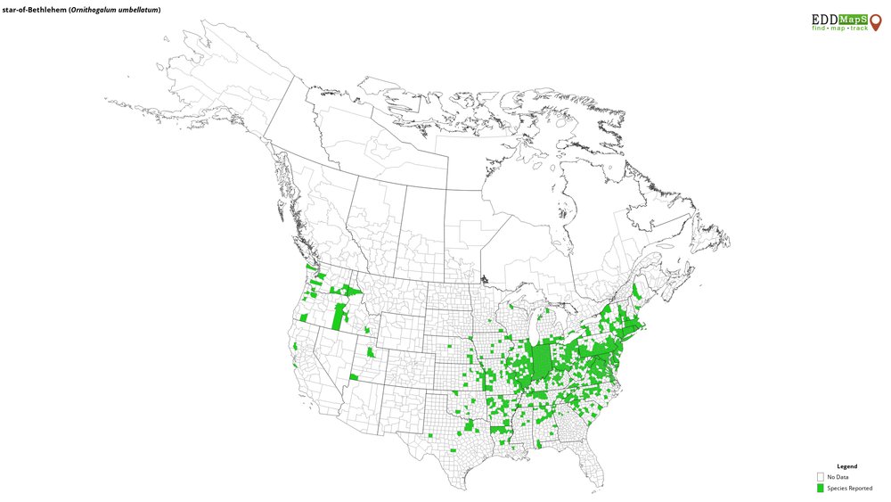 Star of Bethlehem distribution map