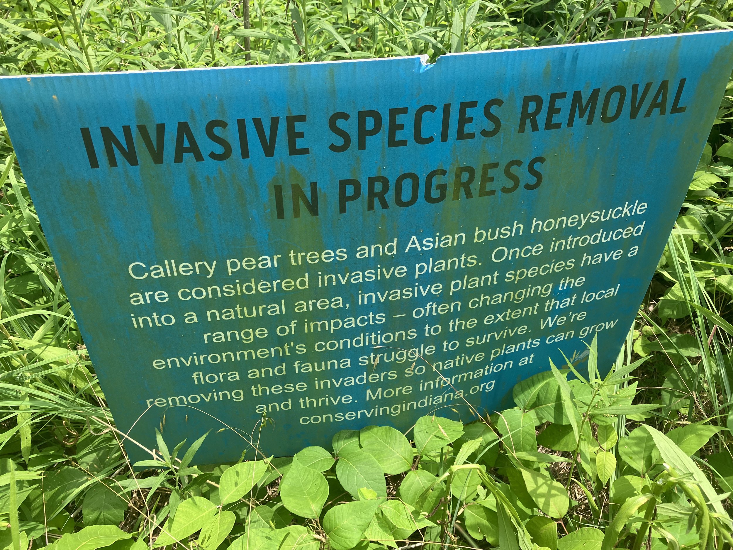  Sign at Nonie Werbe Krauss Nature Preserve, a CILTI property and one of the field trips 