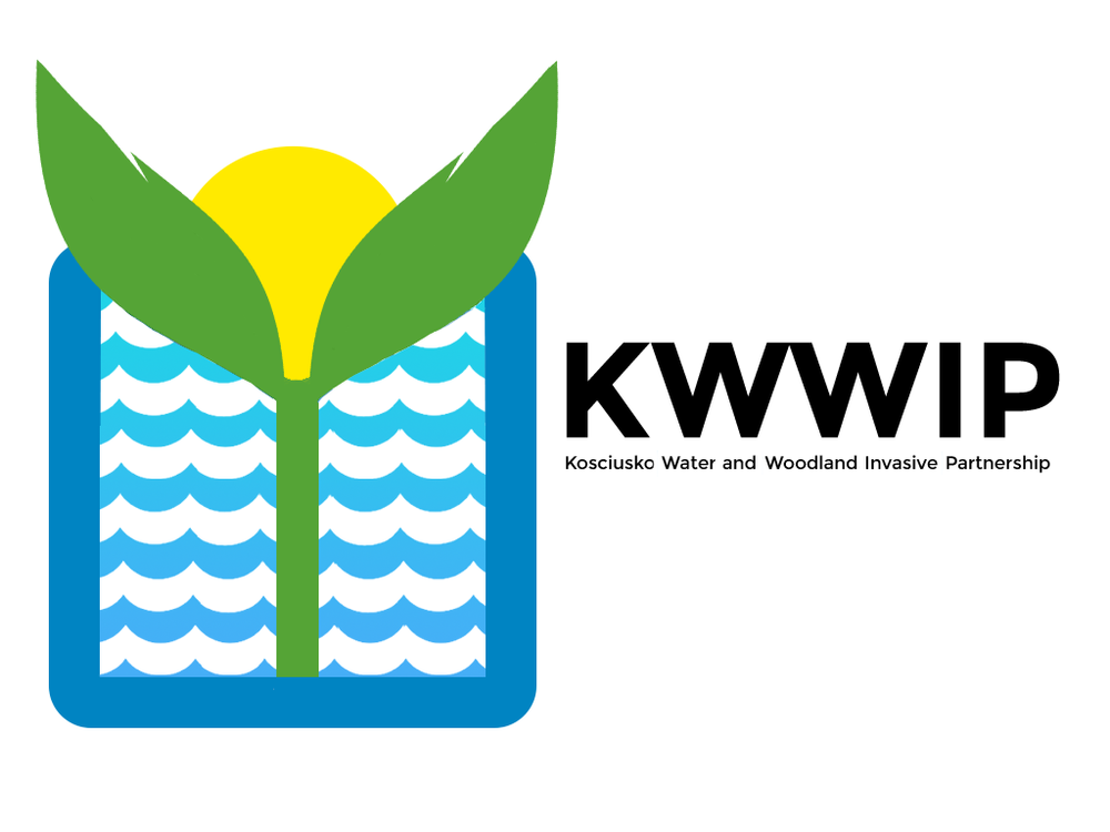 kwwip logo.png