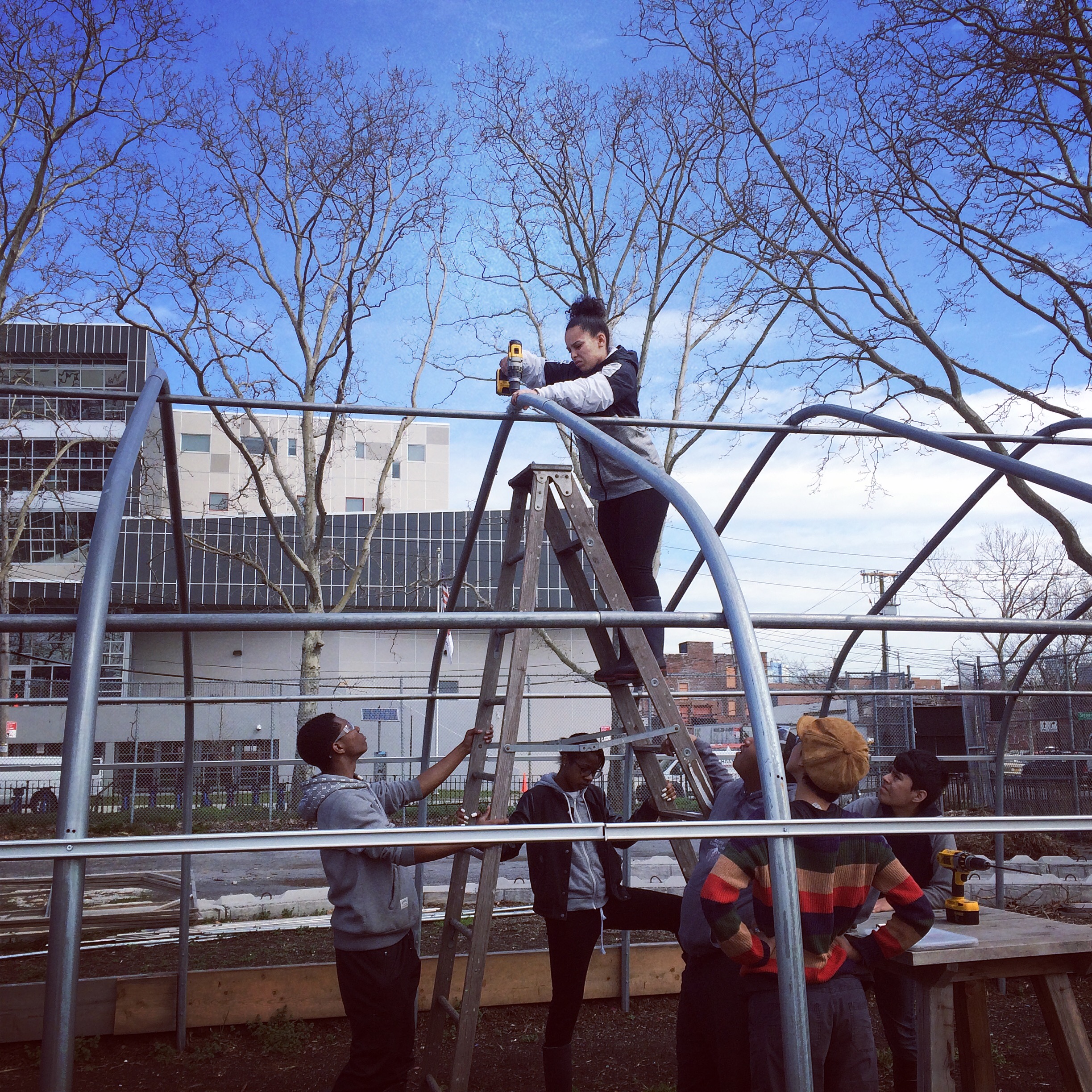 (Re)building the greenhouse!