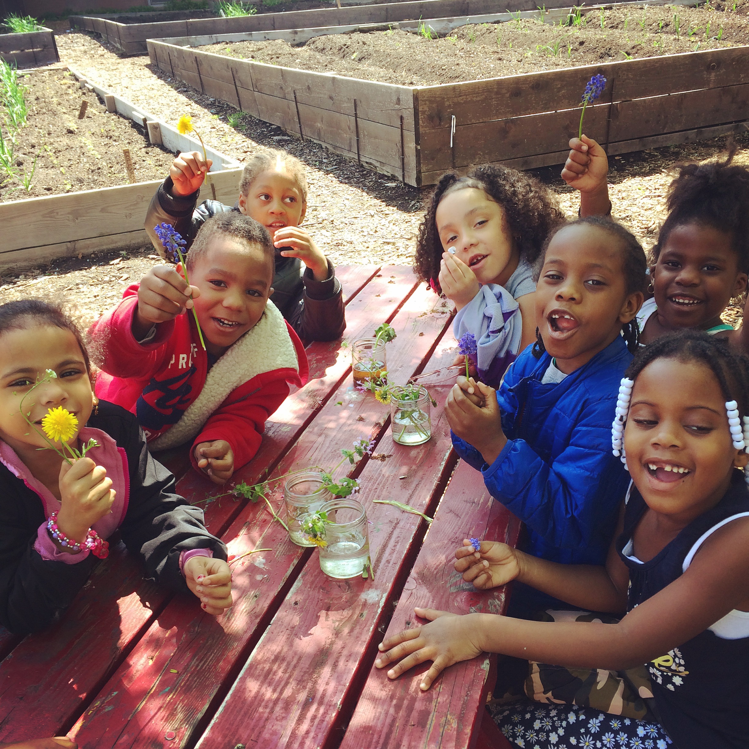 Little friends from PS 15