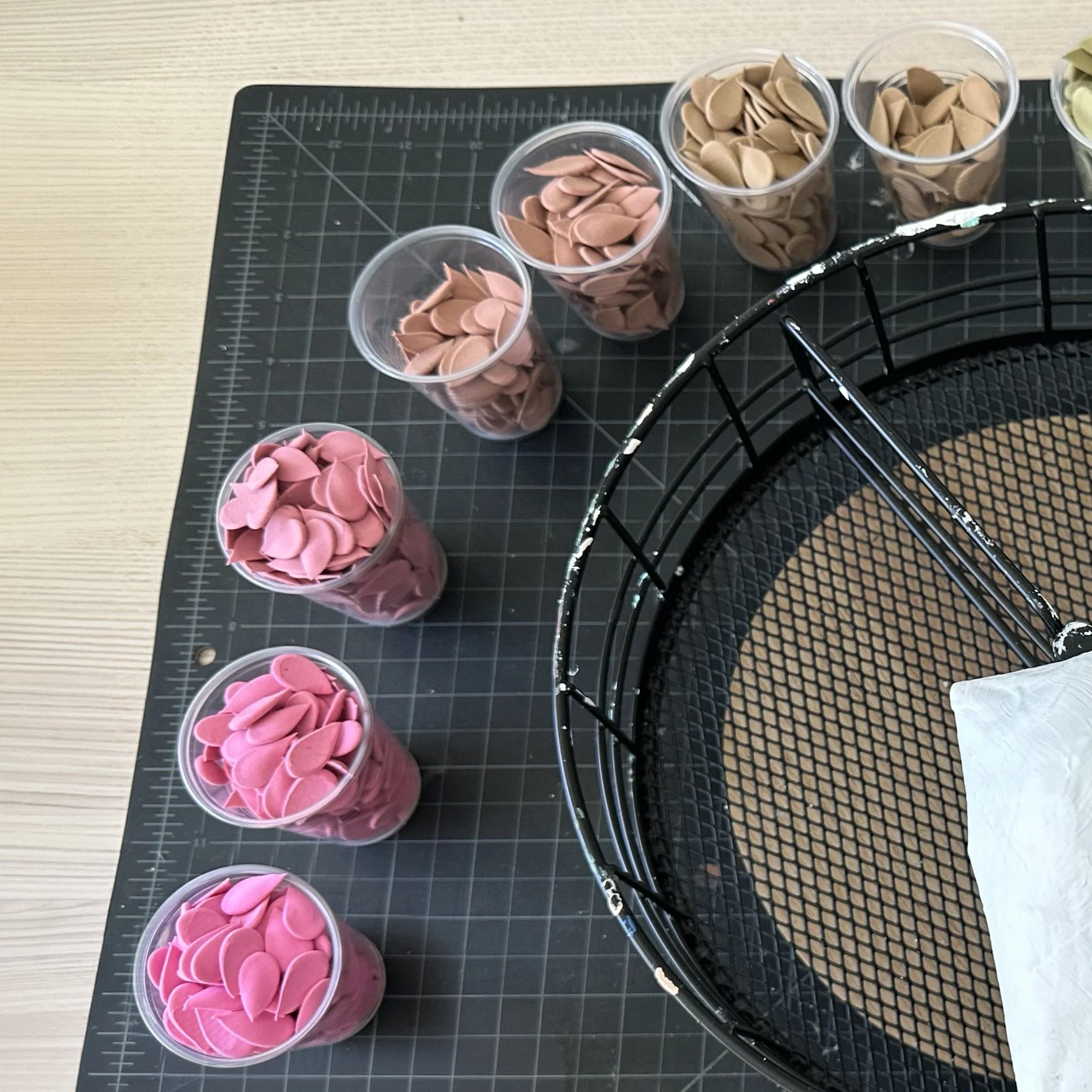 IMG_4489 copy-square1.JPG